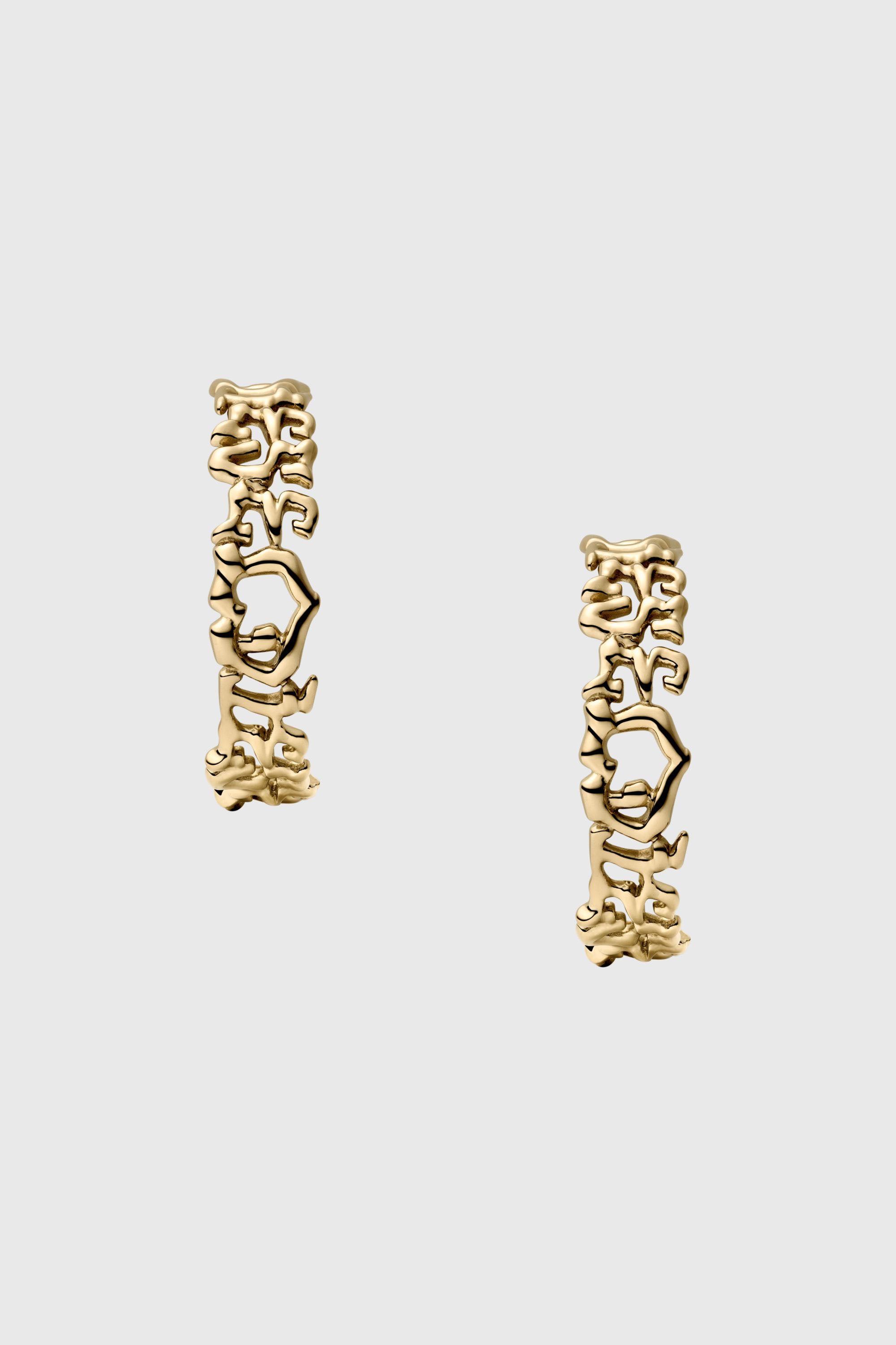 Diesel - DX1656710 JEWELLERY, Unisex's ピアス（両耳用） in ゴールド - 2