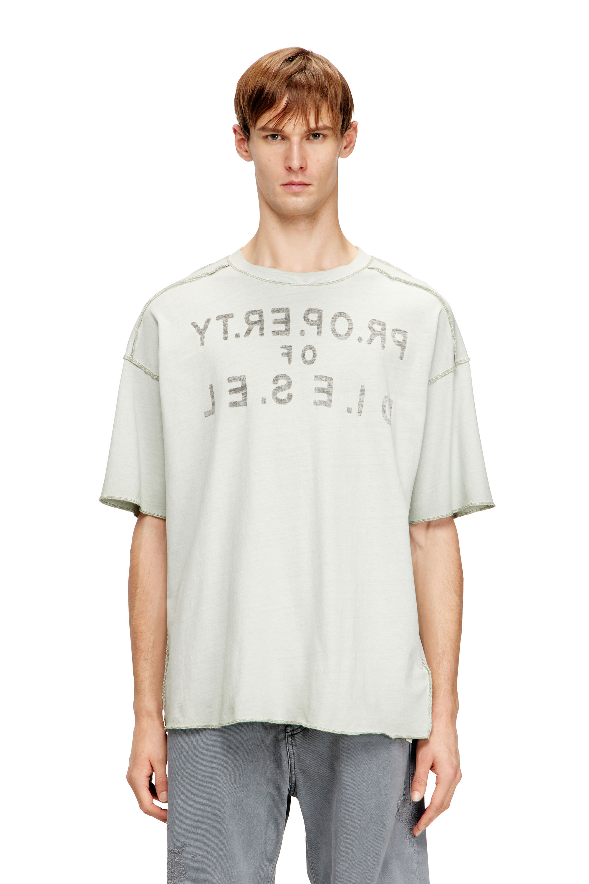 Diesel - T-LOOK, Male's Tシャツ in ホワイト/グレー - 2