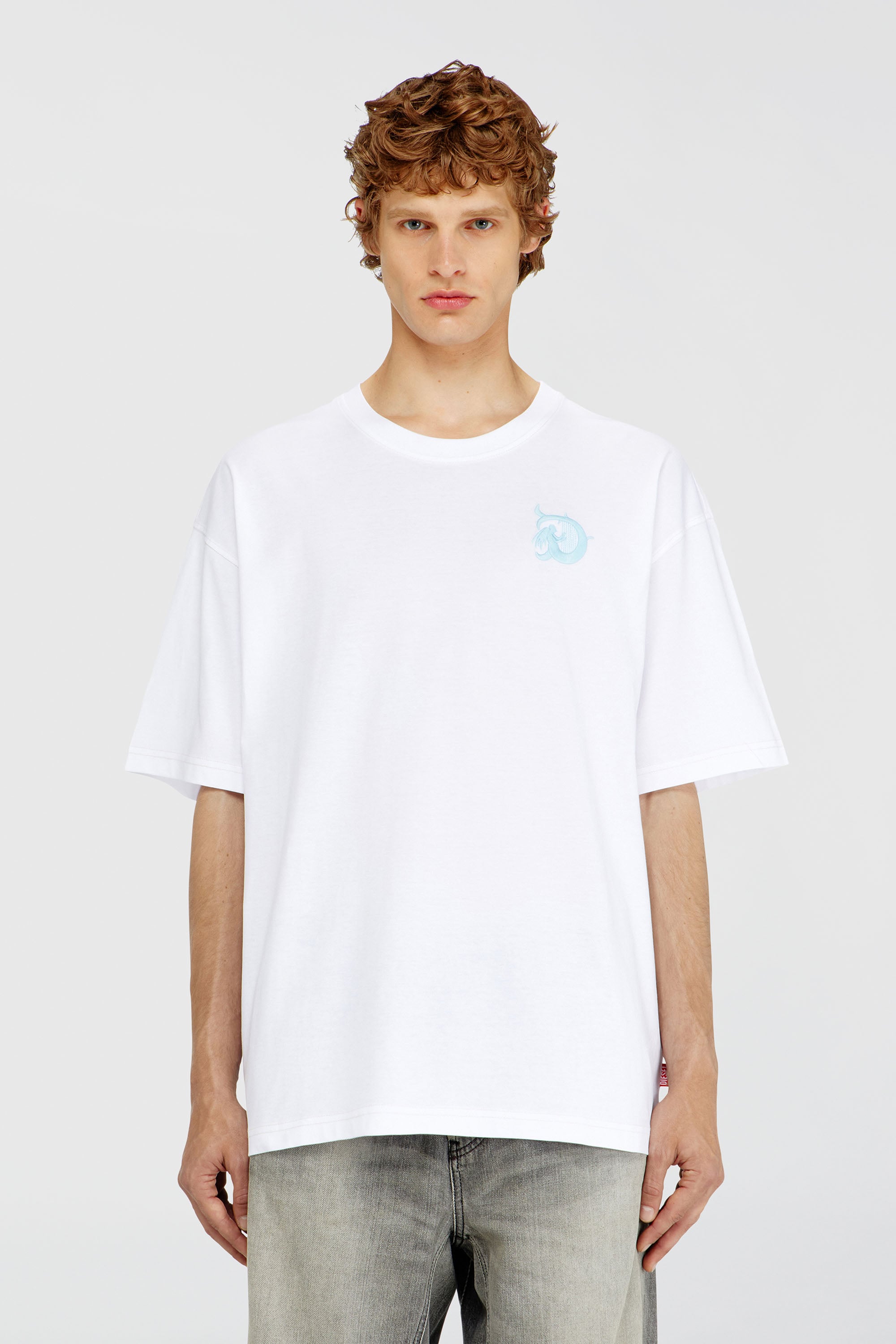 Diesel - T-BOXT-AA11, Male's Tシャツ in ホワイト - 1