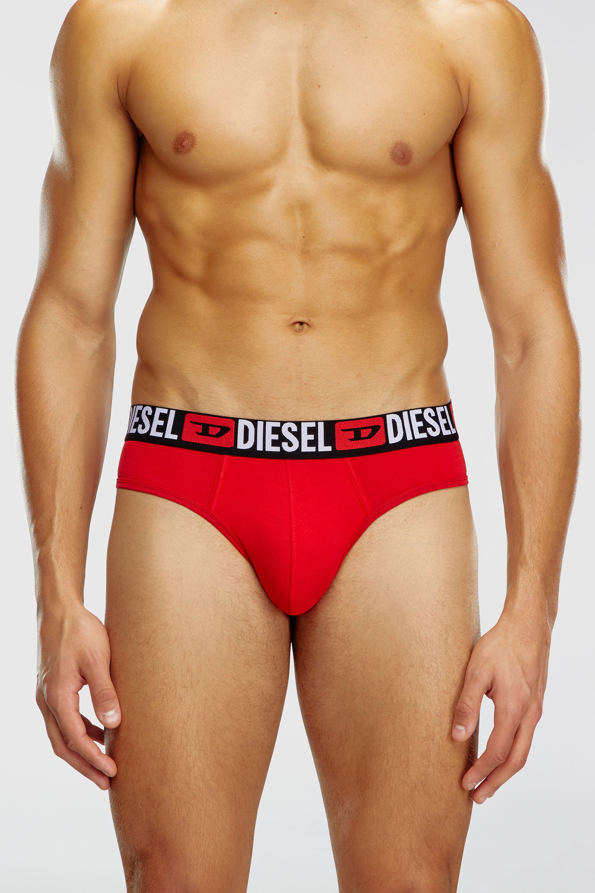 Diesel - UMBR-ANDRETHREEPACK, Male's アンダーウェアブリーフ3枚セット in ブラック/グレー - 2