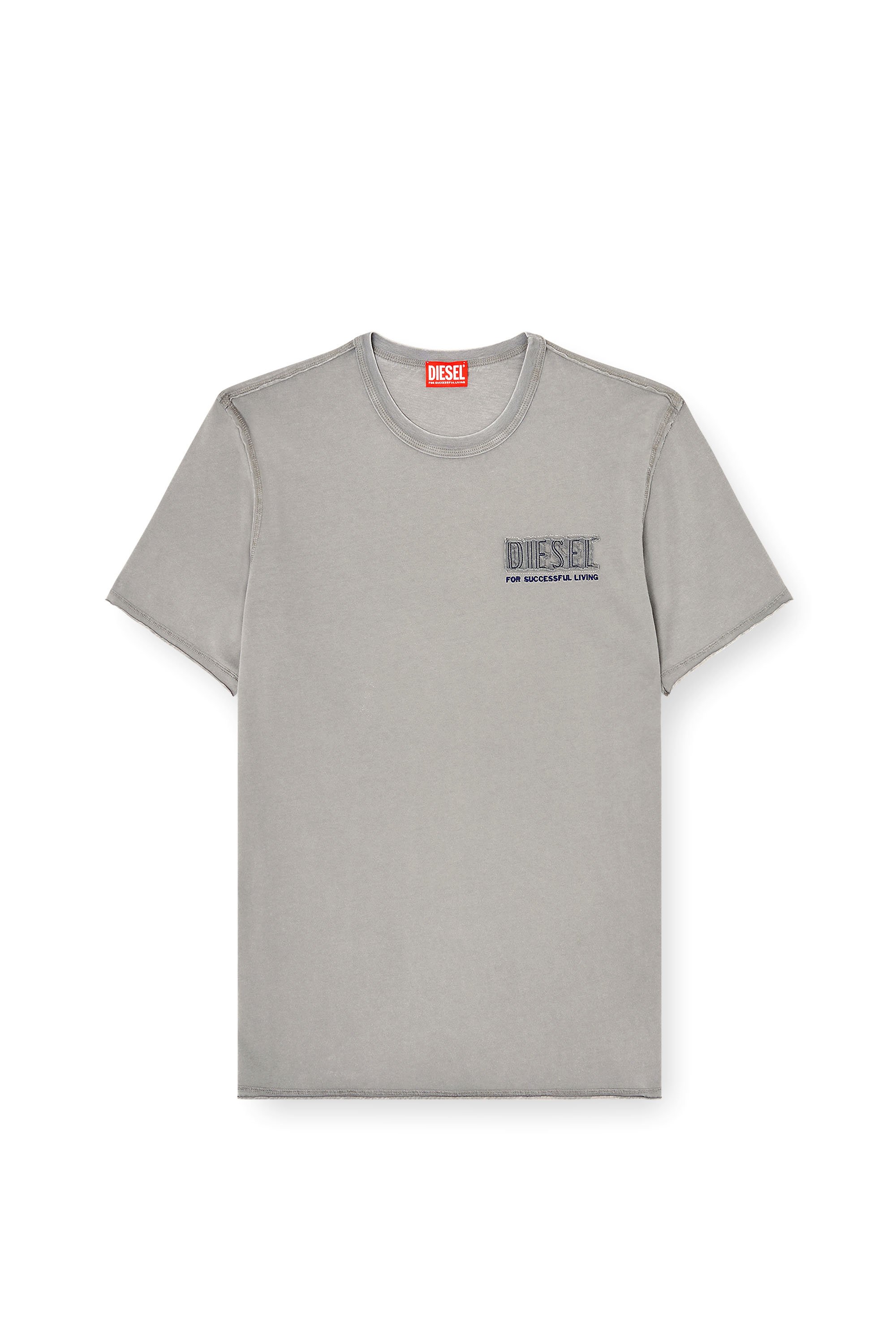 Diesel - T-RAWJUST-V1, Male's Tシャツ in ライトグレー - 3