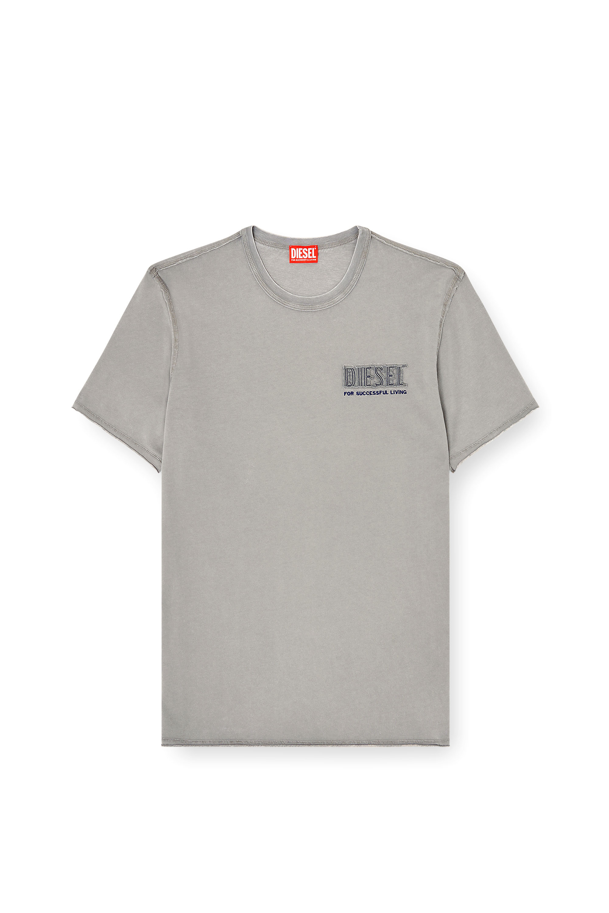 Diesel - T-RAWJUST-V1, Male's Tシャツ in ライトグレー - 2