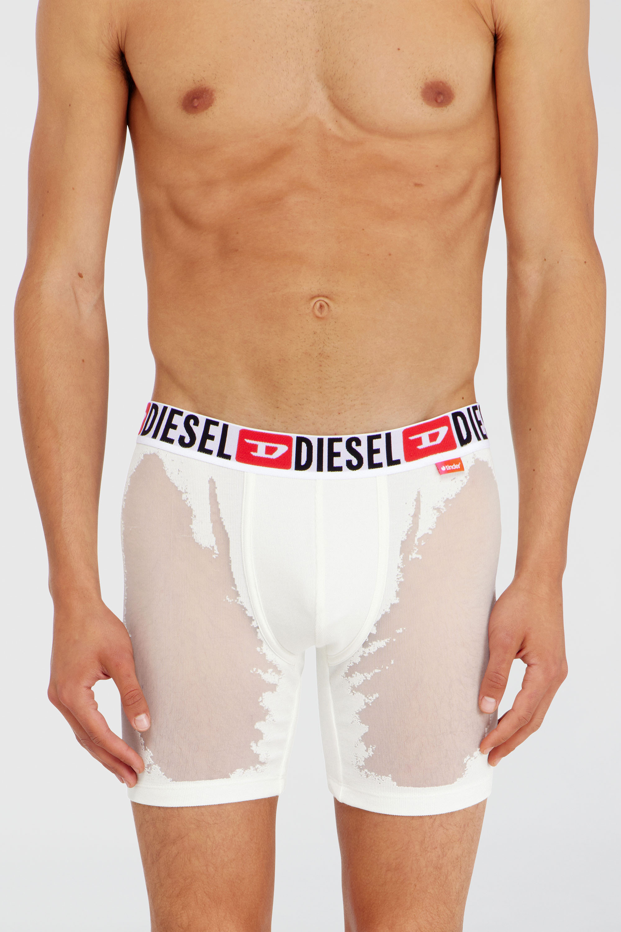 Diesel - PR-MAX-D-CORE, Male's Boxer briefs with sheer devor&eacute; effect in ホワイト - 1