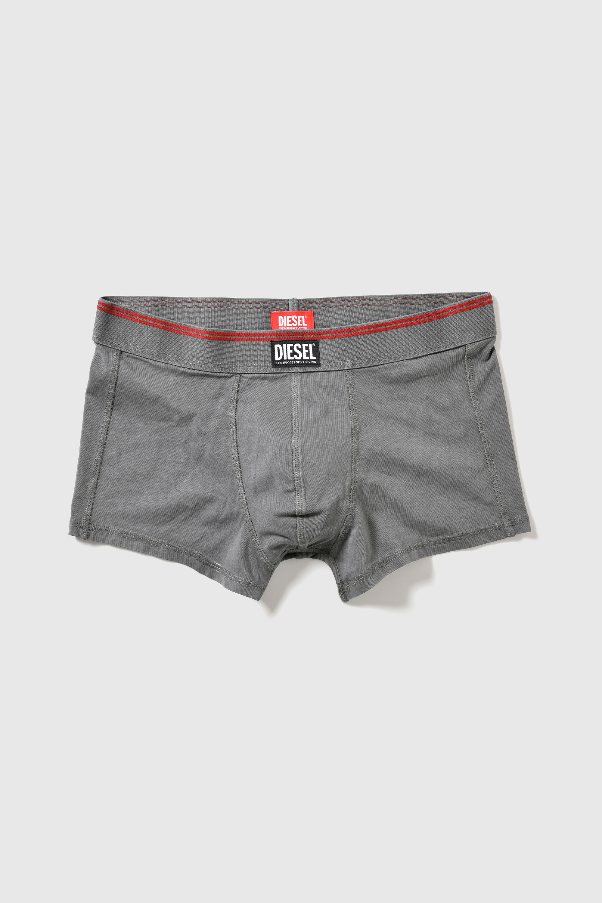 Diesel - BOXER UNDERWEAR, Male's BOXER UNDERWEAR in グレー - 1