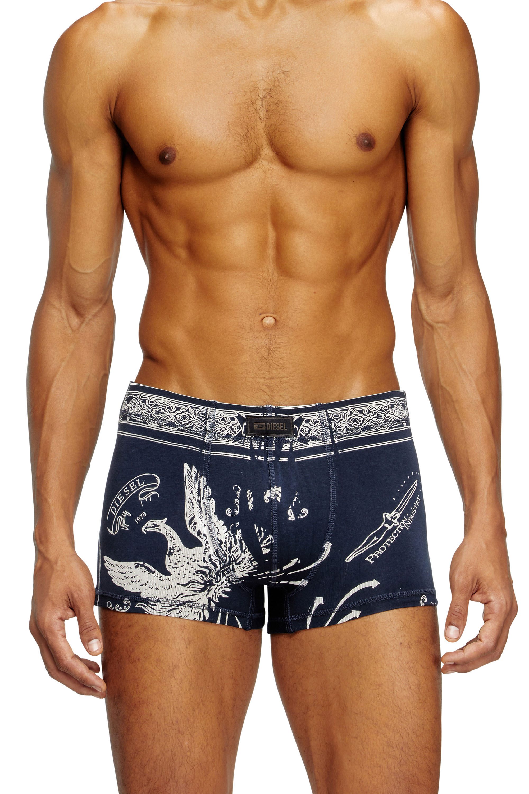 Diesel - DAMIEN-UTLT, Male's Boxer briefs with Phoenix print in ブルー - 2