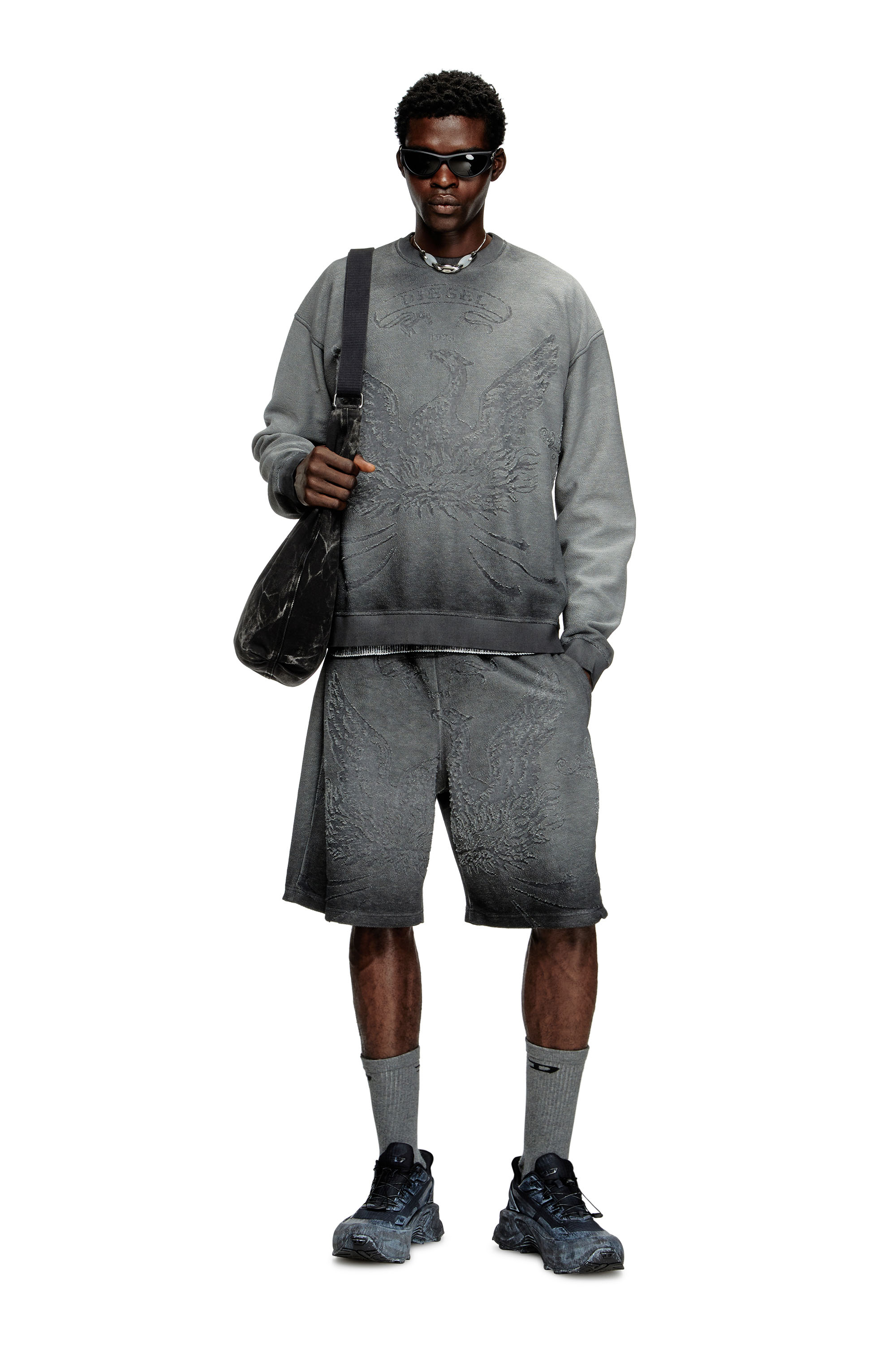 Diesel - S-ARON, Male's Faded sweatshirt with devoré Phoenix logo in グレー - 2