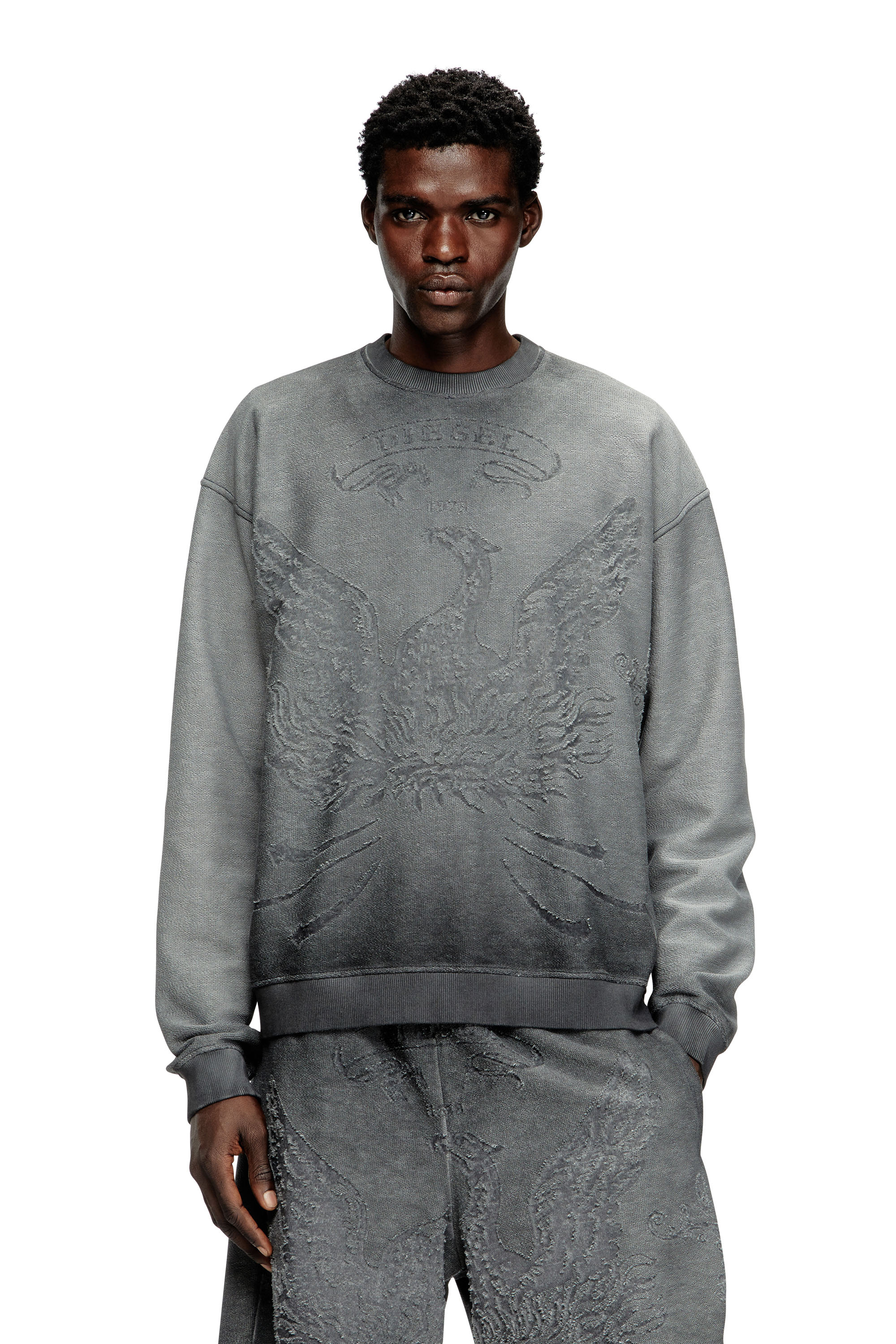 Diesel - S-ARON, Male's Faded sweatshirt with devoré Phoenix logo in グレー - 1