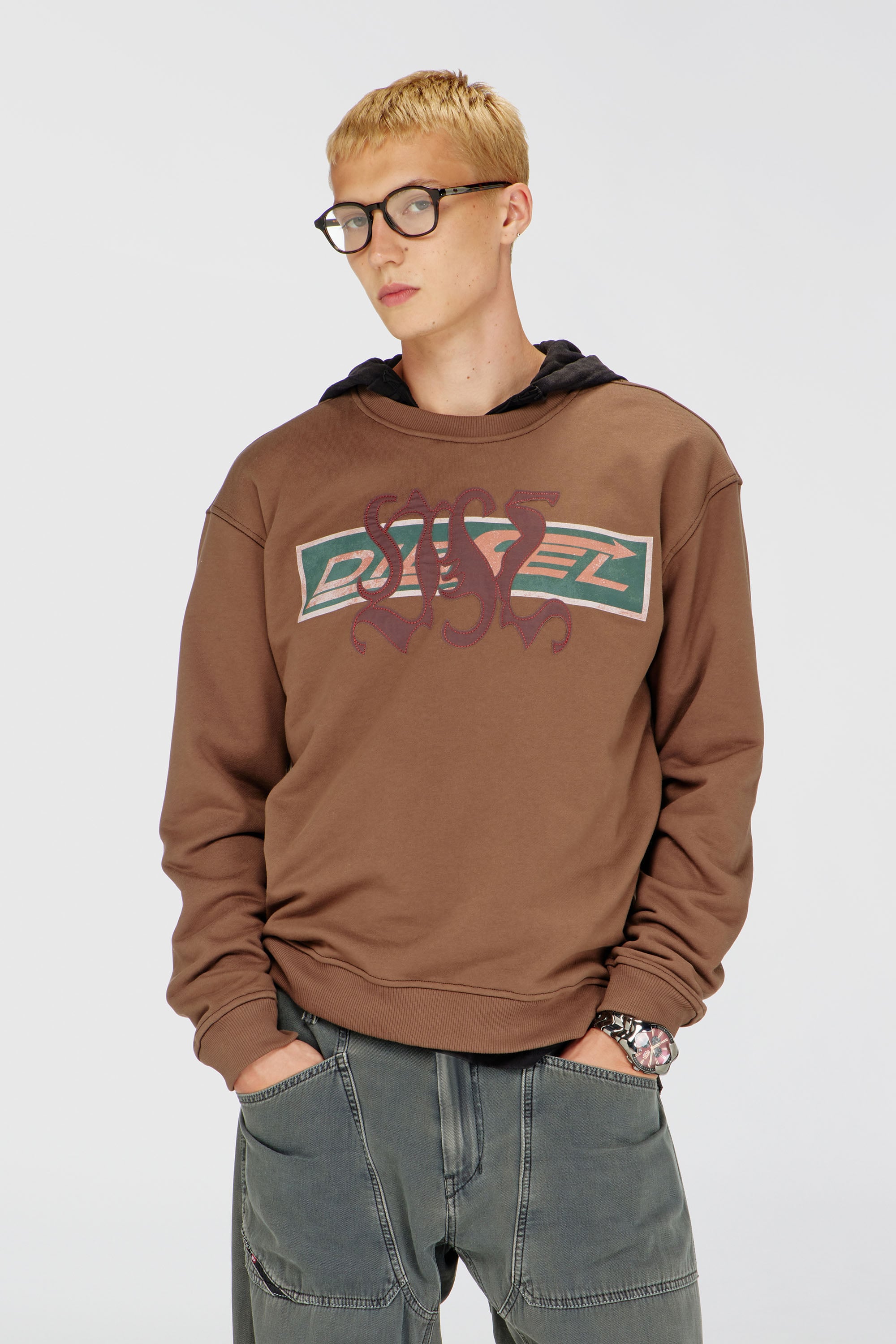 Diesel - S-NORM-AA6, Male's プルオーバースウェット in ブラウン - 1
