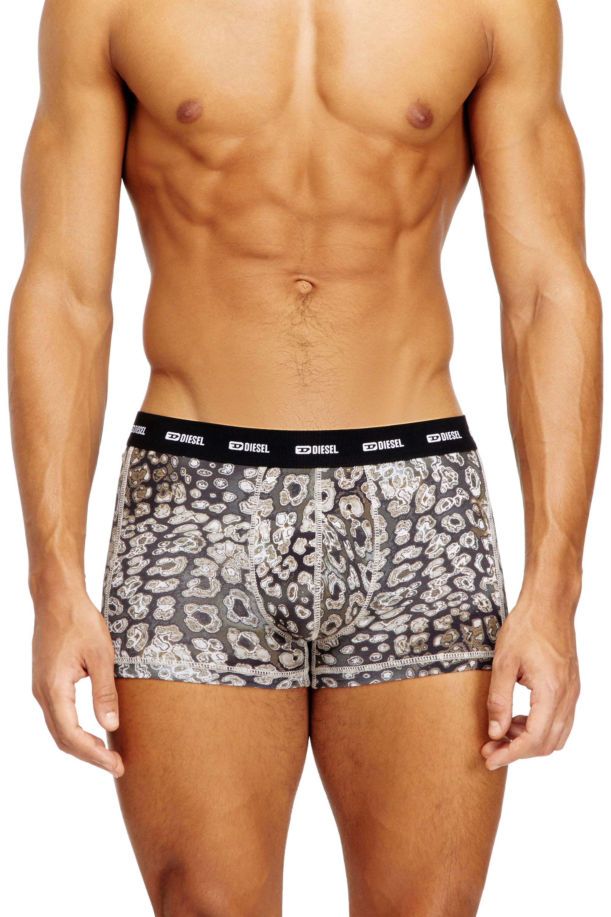 Diesel - DAMIEN-UTLT, Male's Cotton boxers with all-over animalier print in マルチカラー - 1