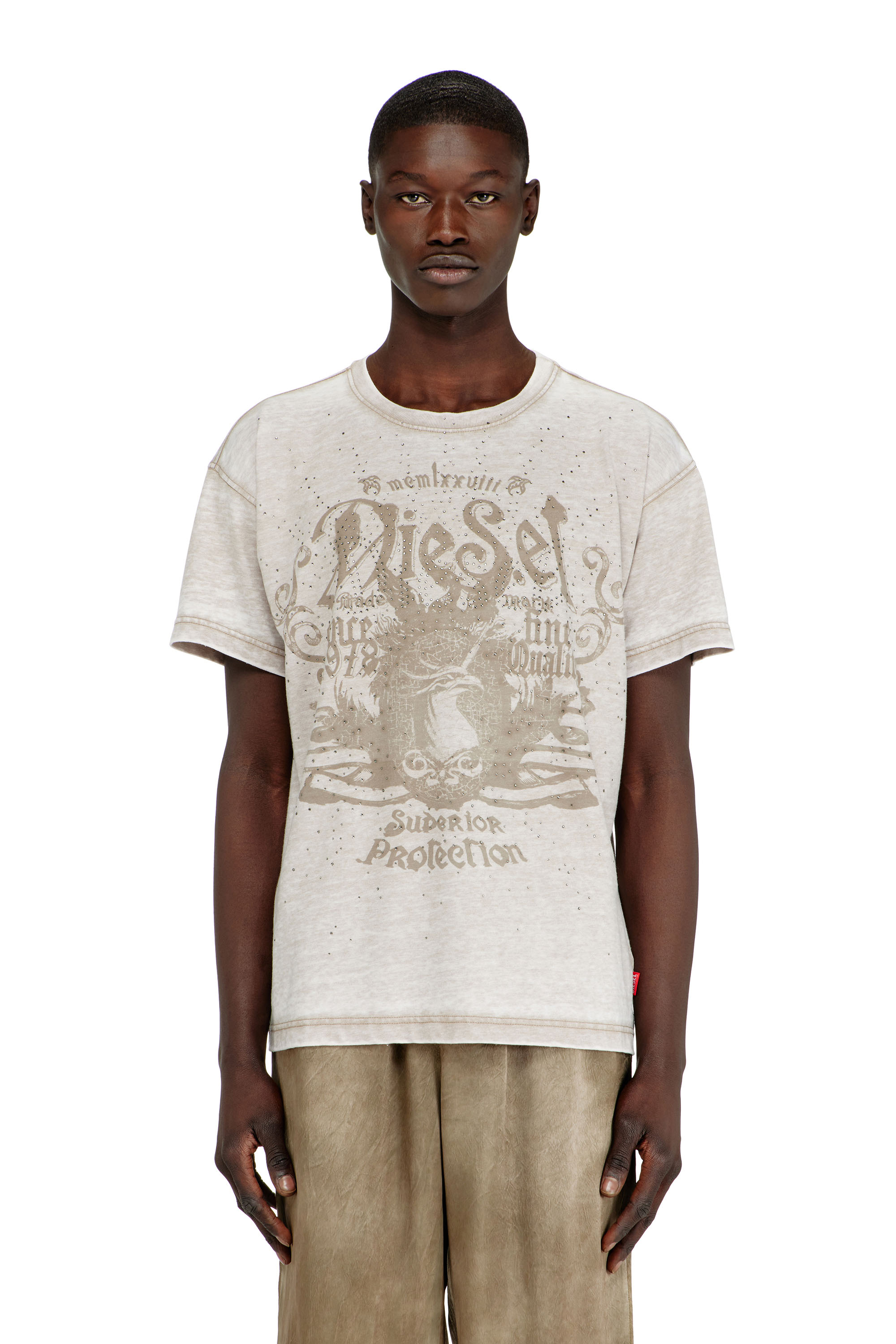 Diesel - T-NORM-AA8, Male's Tシャツ in ベージュ - 1