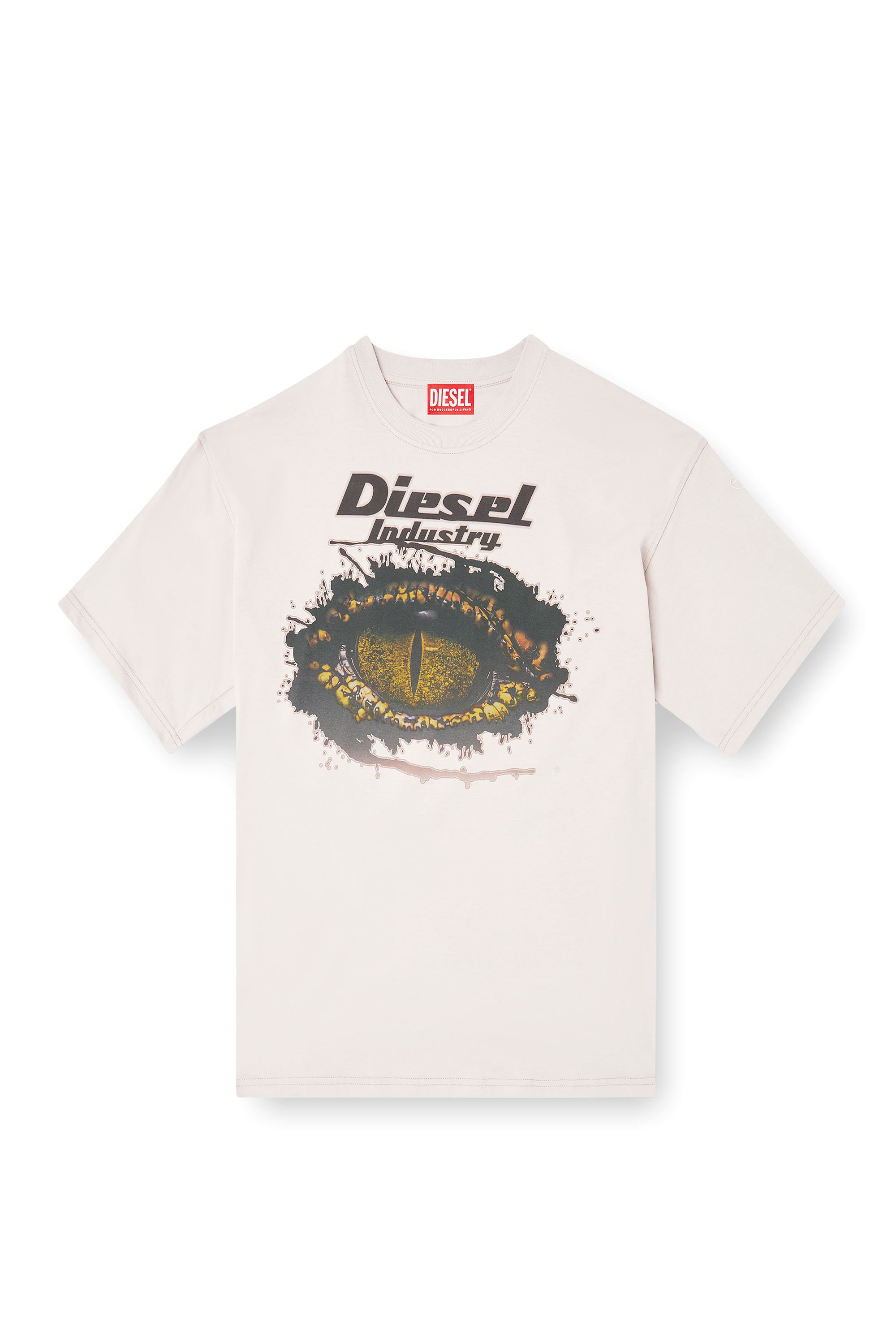 Diesel - T-BOXT-T25, Male's Tシャツ in ライトグレー - 3