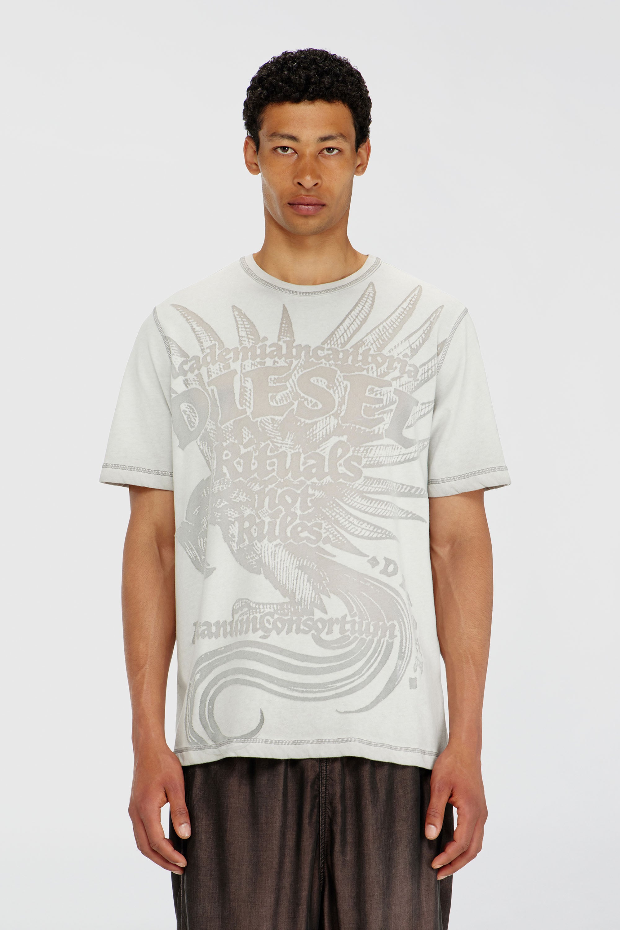 Diesel - T-RAWJUST-AA1, Male's Tシャツ in ライトグレー - 1