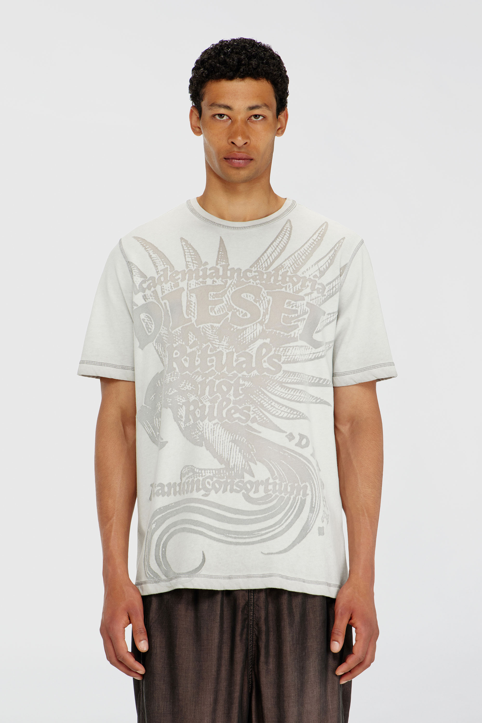 Diesel - T-RAWJUST-AA1, Male's Tシャツ in ライトグレー - 3