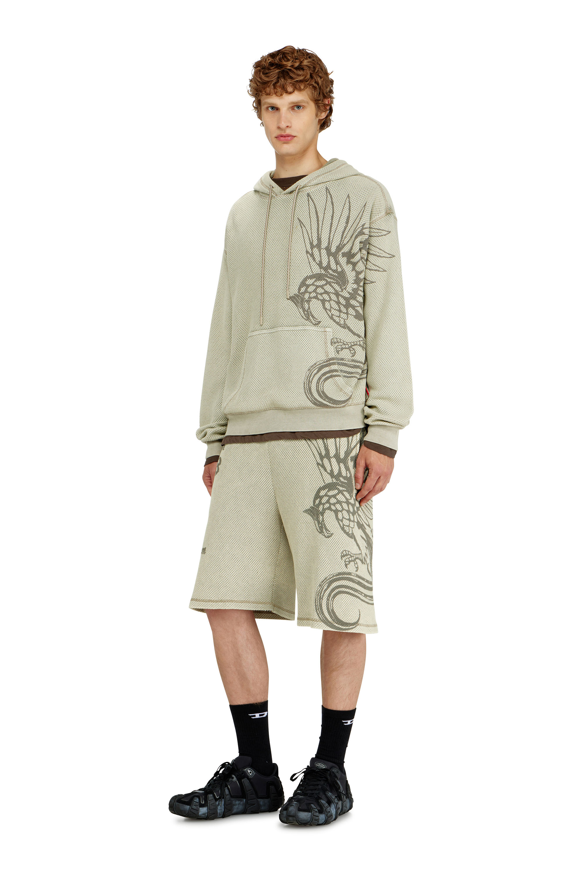 Diesel - S-NORM-HOOD-AA1, Male's プルオーバーパーカー in ベージュ - 1