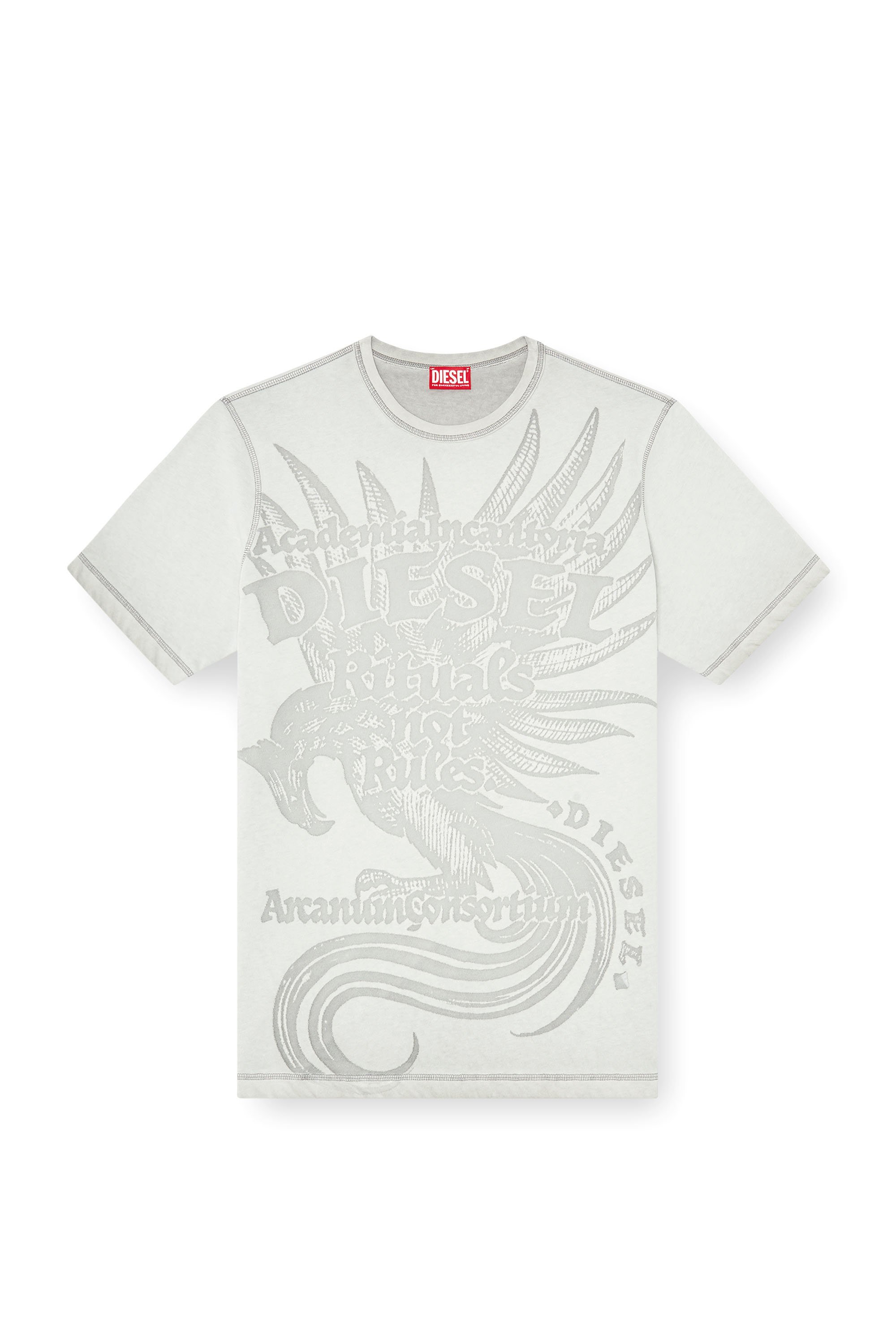 Diesel - T-RAWJUST-AA1, Male's Tシャツ in ライトグレー - 3