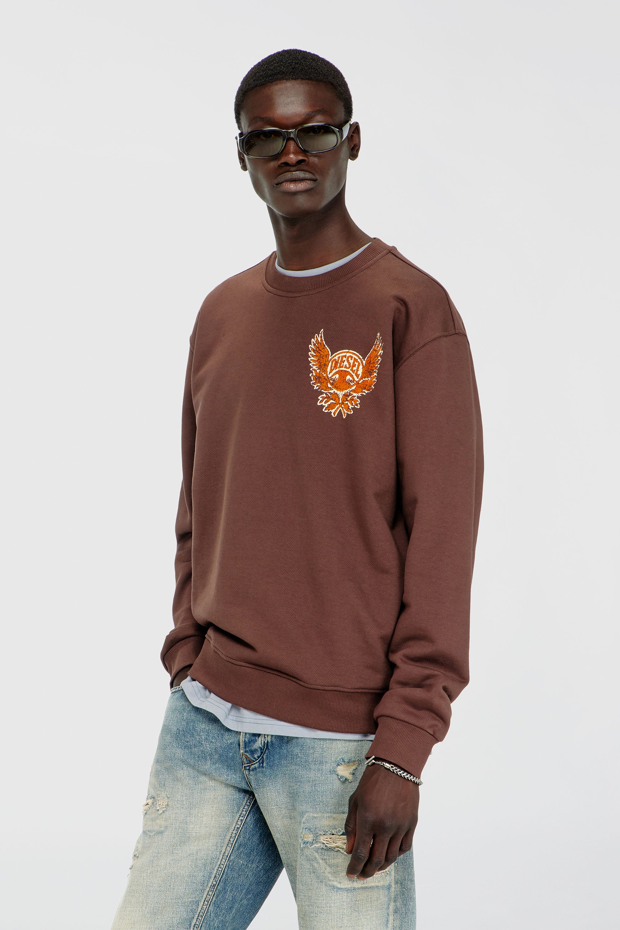 Diesel - S-NORM-AA2, Male's プルオーバースウェット in ブラウン - 1