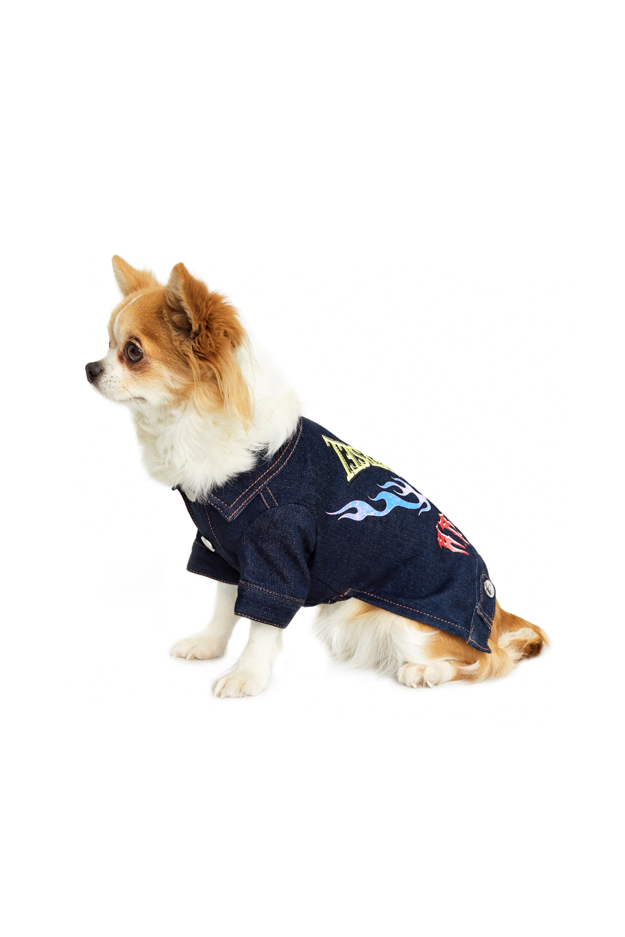 Diesel - PET-FLAMES, ダークブルー - Image 4