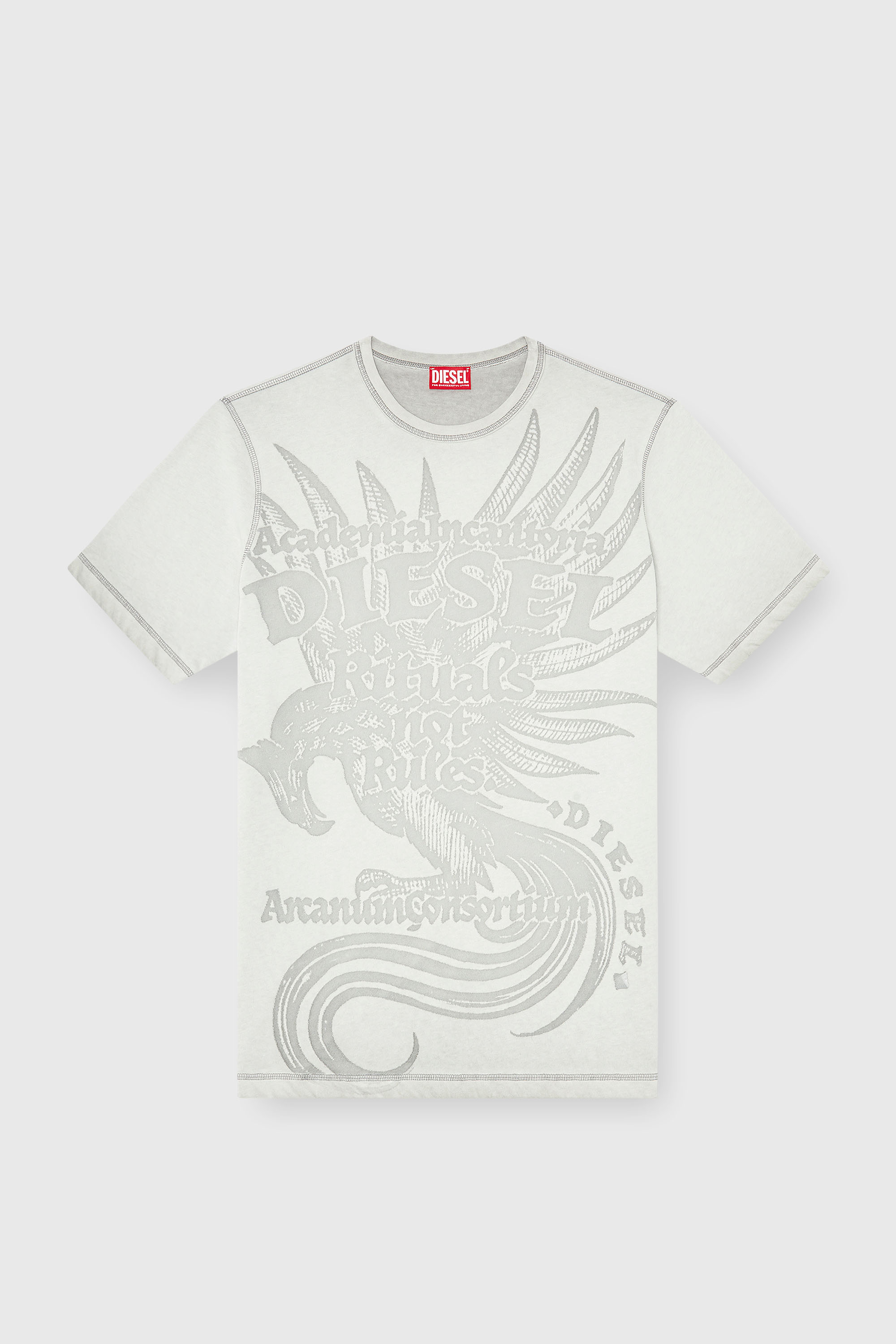 Diesel - T-RAWJUST-AA1, Male's Tシャツ in ライトグレー - 2