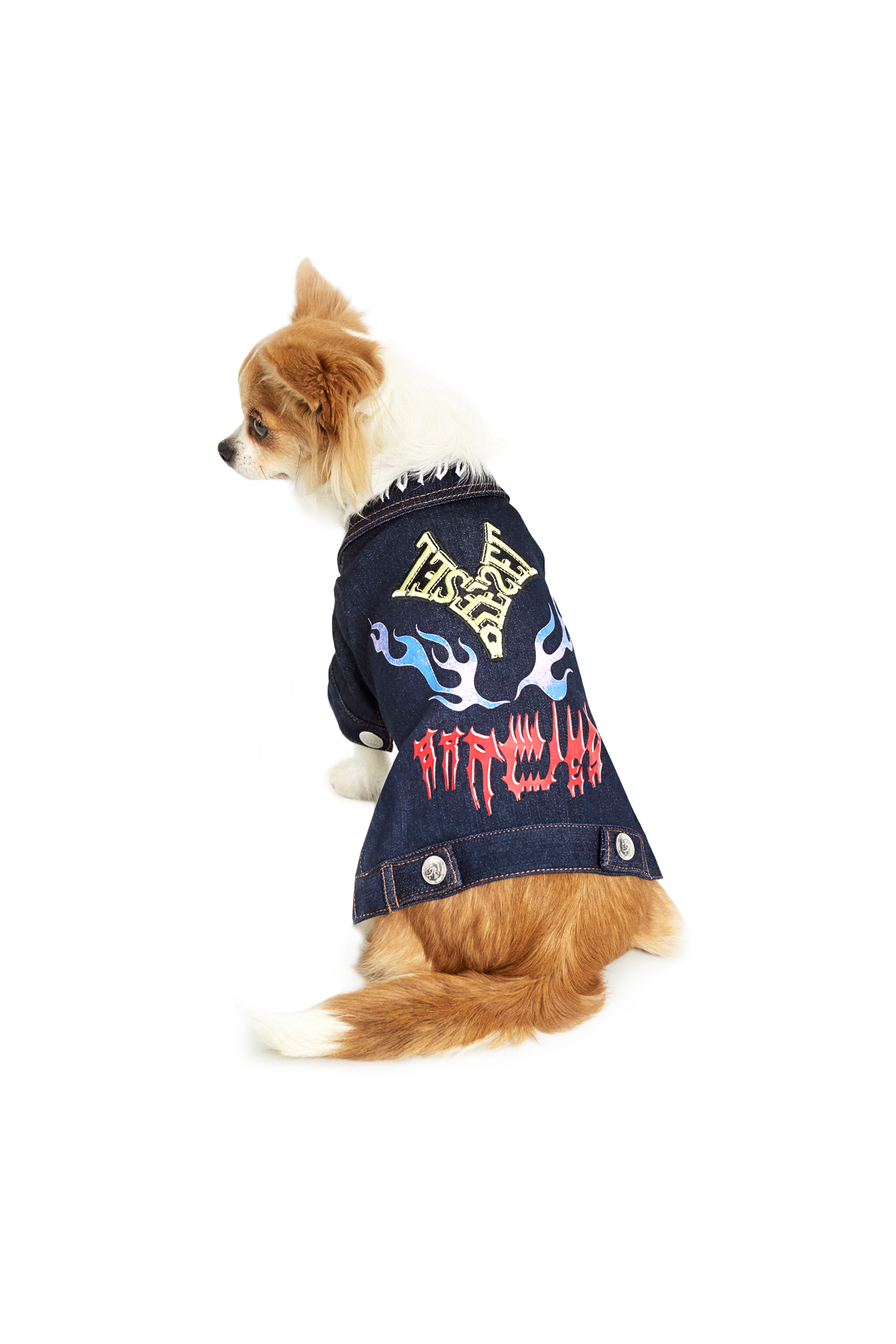 Diesel - PET-FLAMES, ダークブルー - Image 3