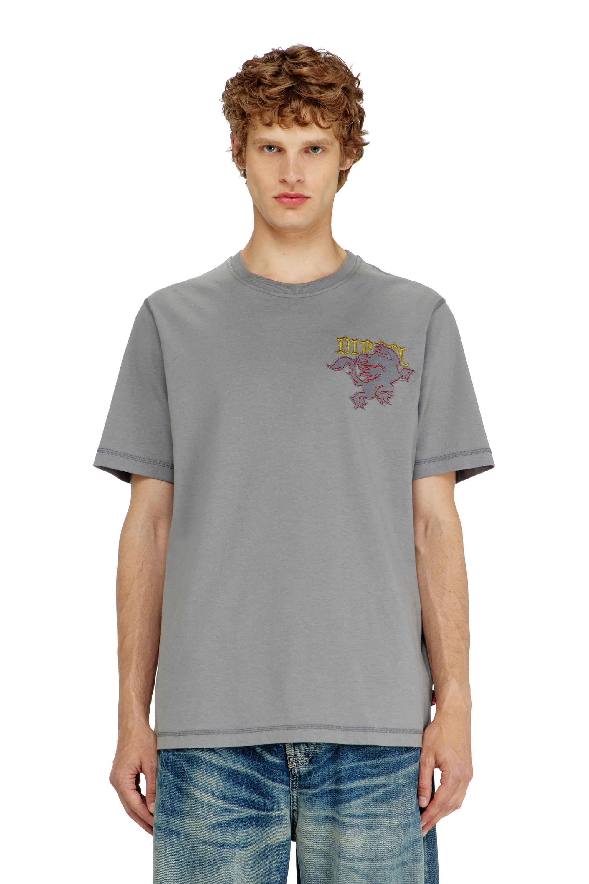 Diesel - T-ADJUST-NOTCH, Male's Tシャツ in グレー - 1