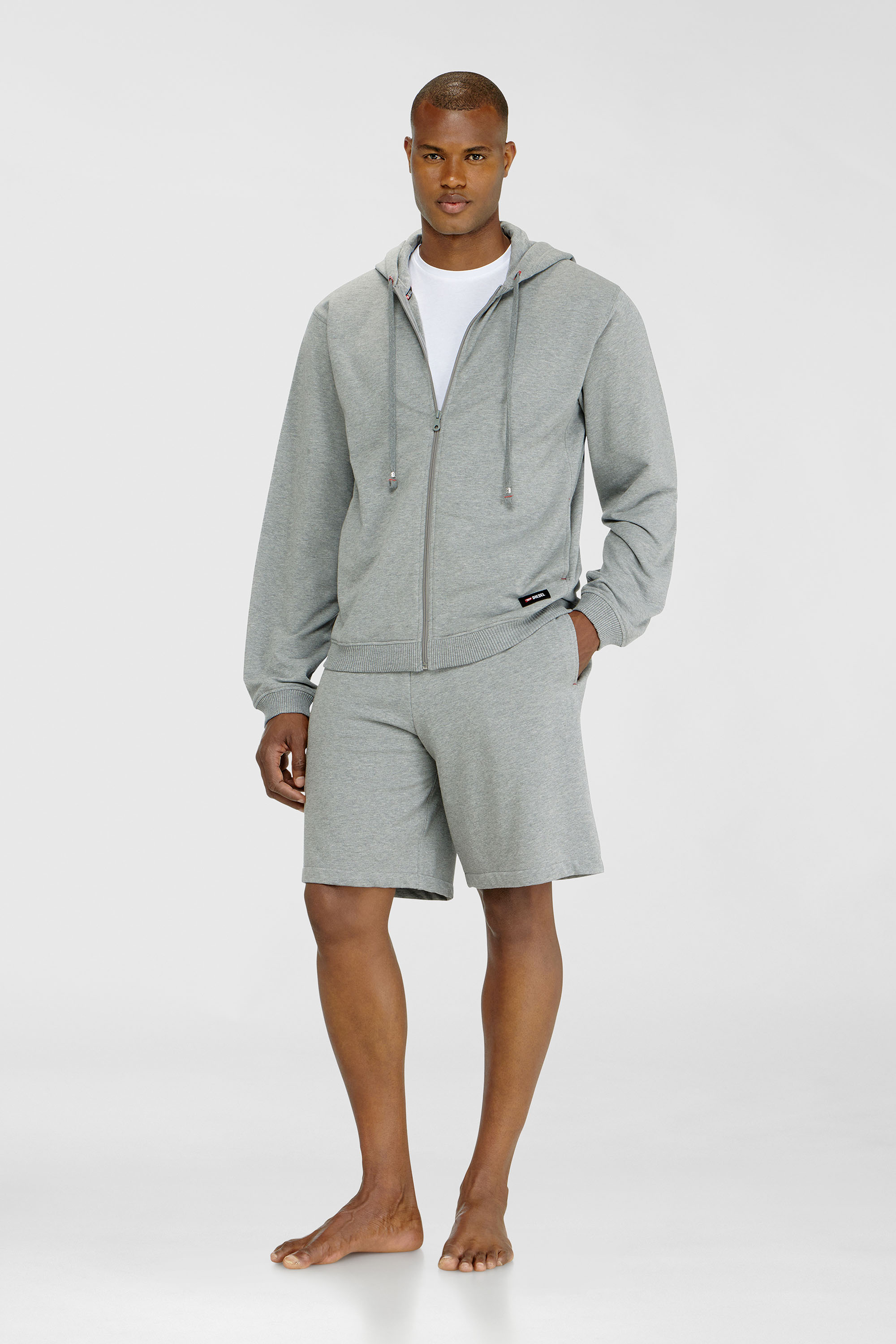 Diesel - JOY-D-CORE, Male's ジップアップパーカー in グレー - 1