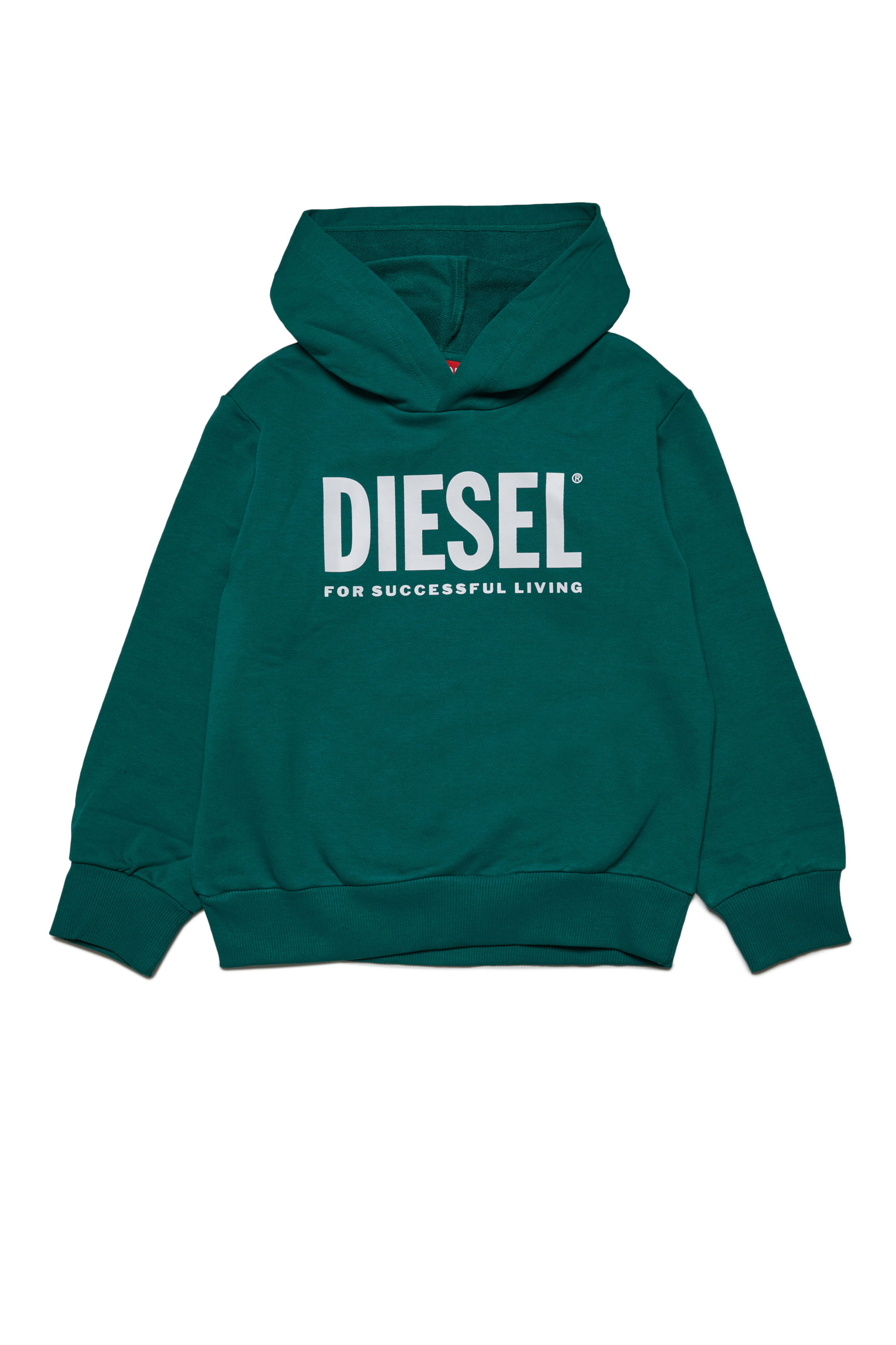 Diesel - LSFORT DI OVER HOOD, グリーン - Image 1