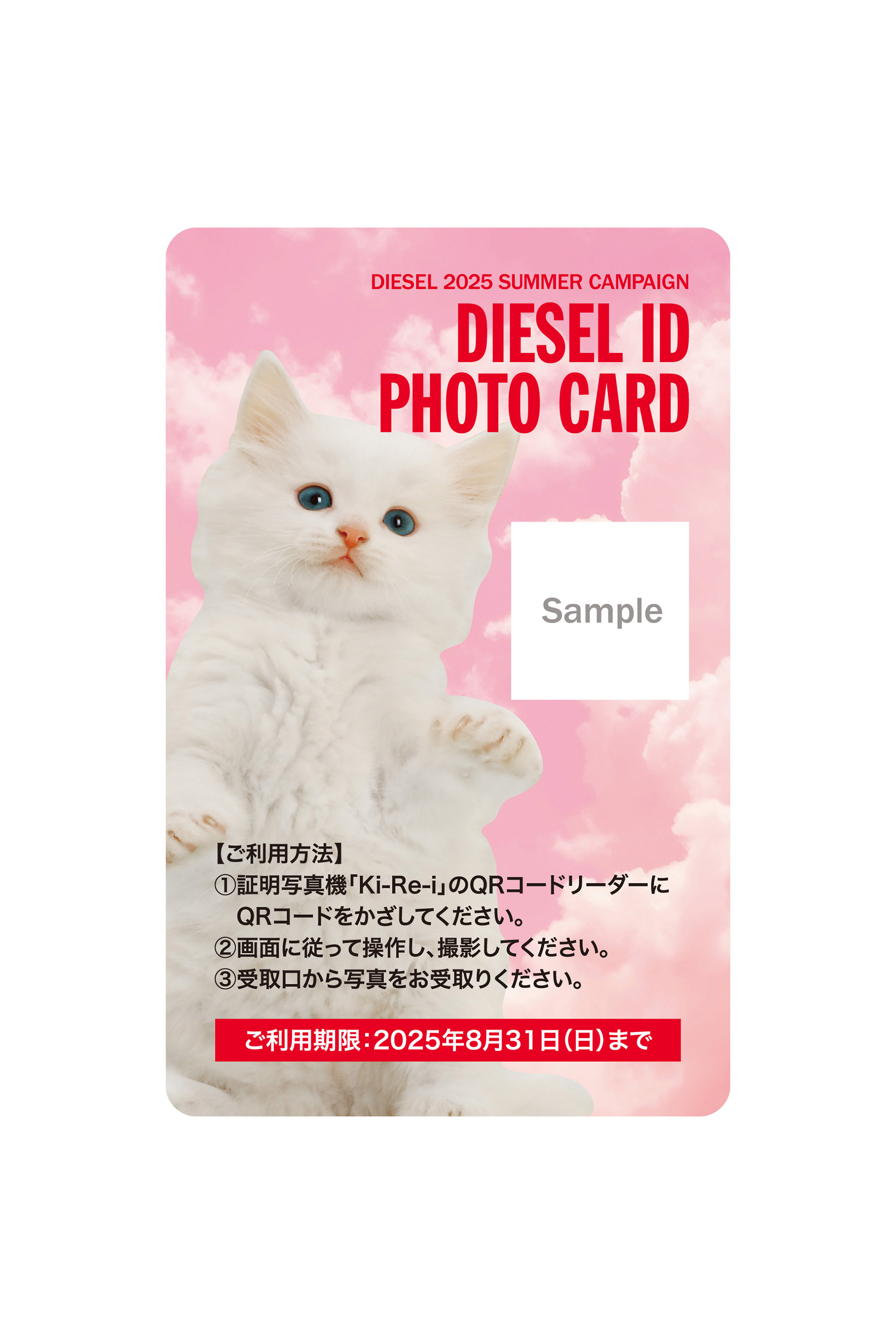 Campaign gift, -