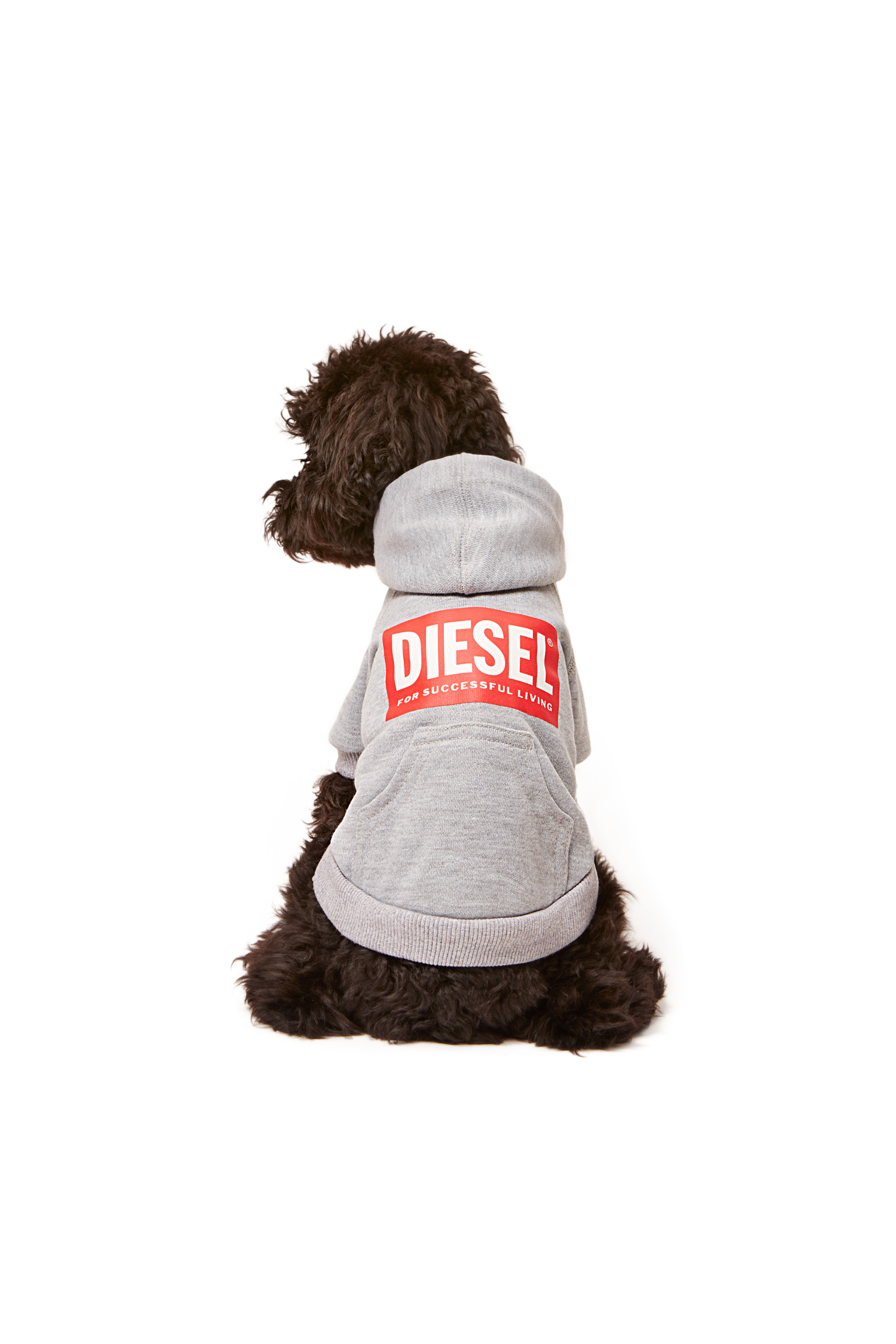 Diesel - PET-SCOTTO, グレー - Image 4