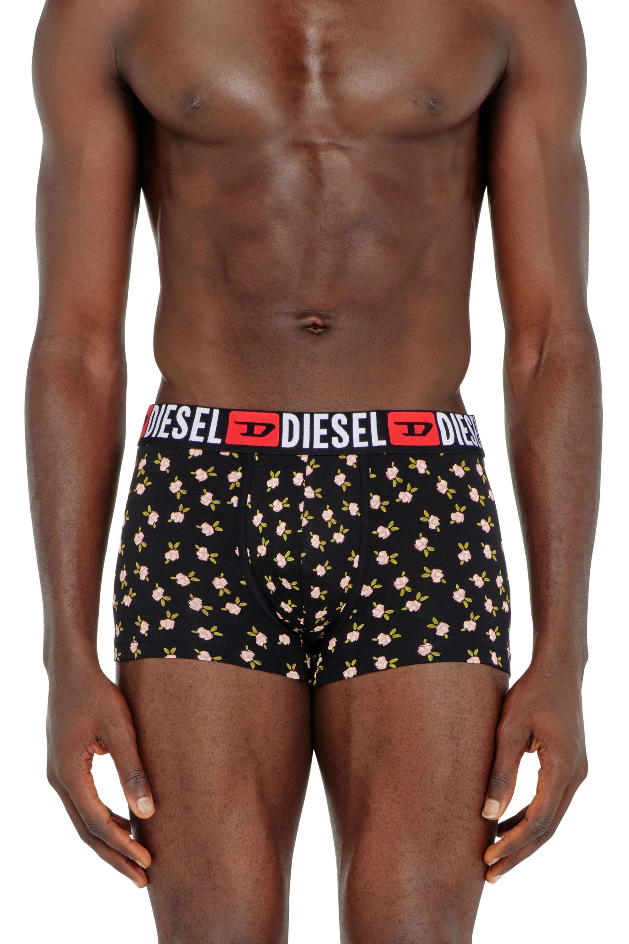 Diesel - DAMIEN, Male's ボクサーパンツ in null - 1
