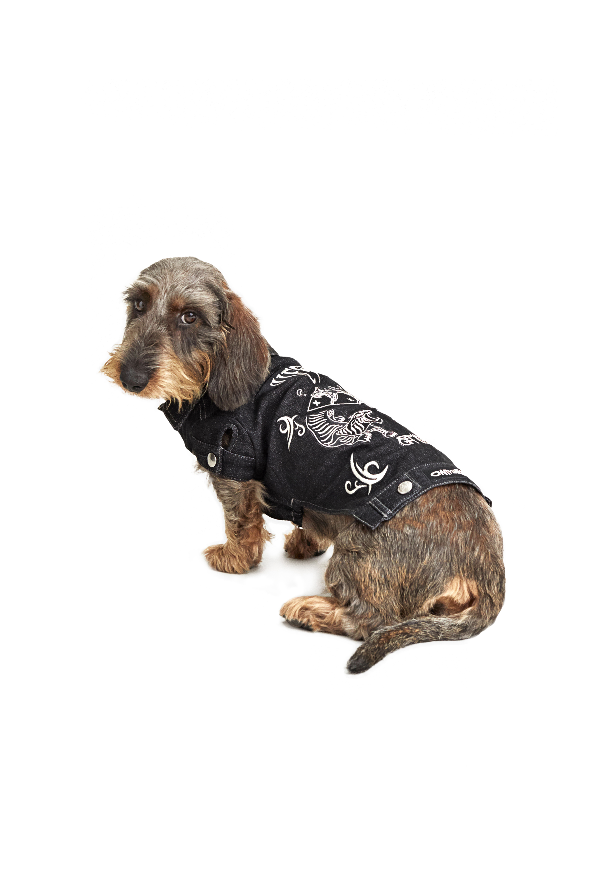 Diesel - PET-TIGERS, ブラック - Image 3