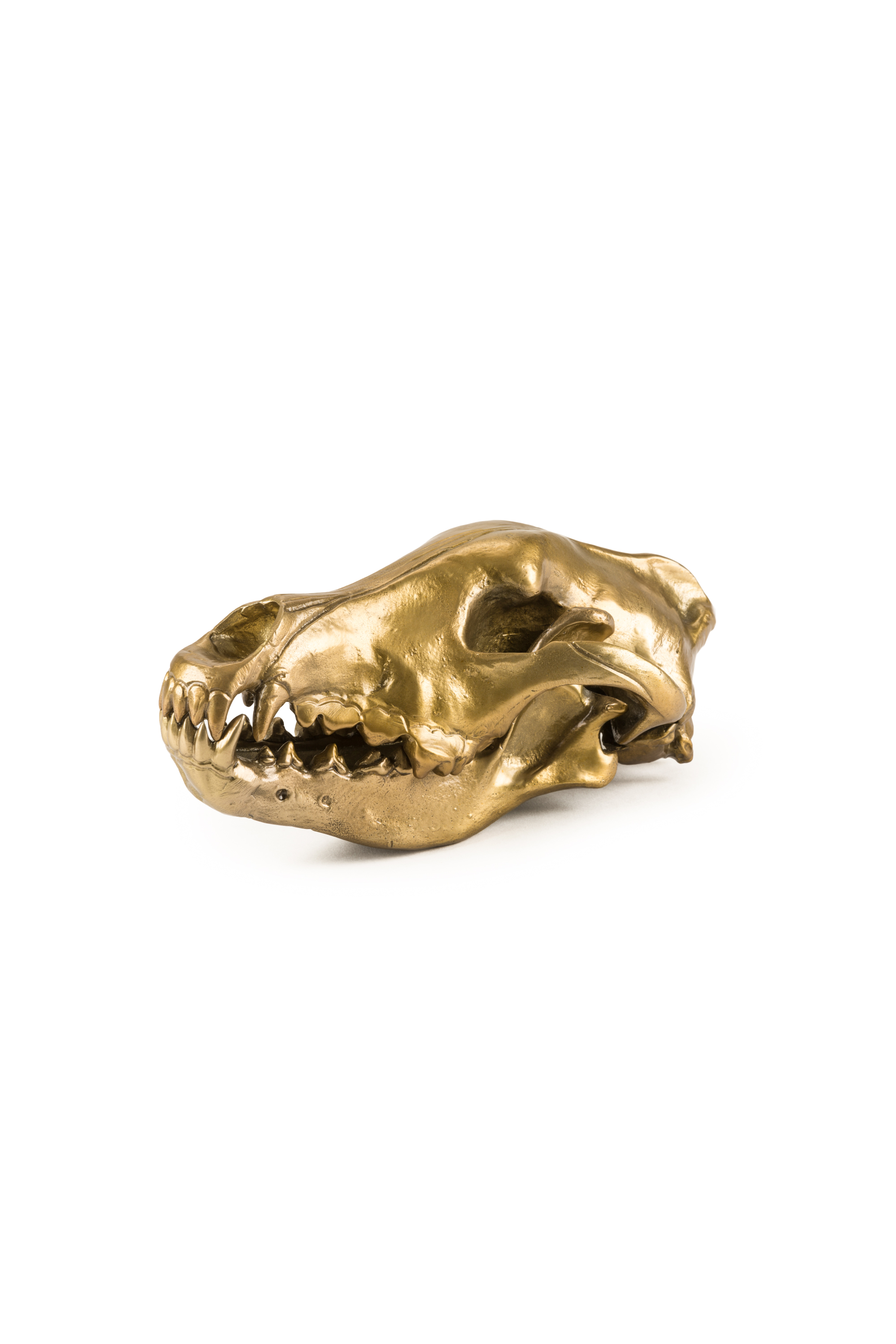 Diesel - DIESEL LIVING with SELETTI「WOLF SKULL」, ゴールド - Image 1