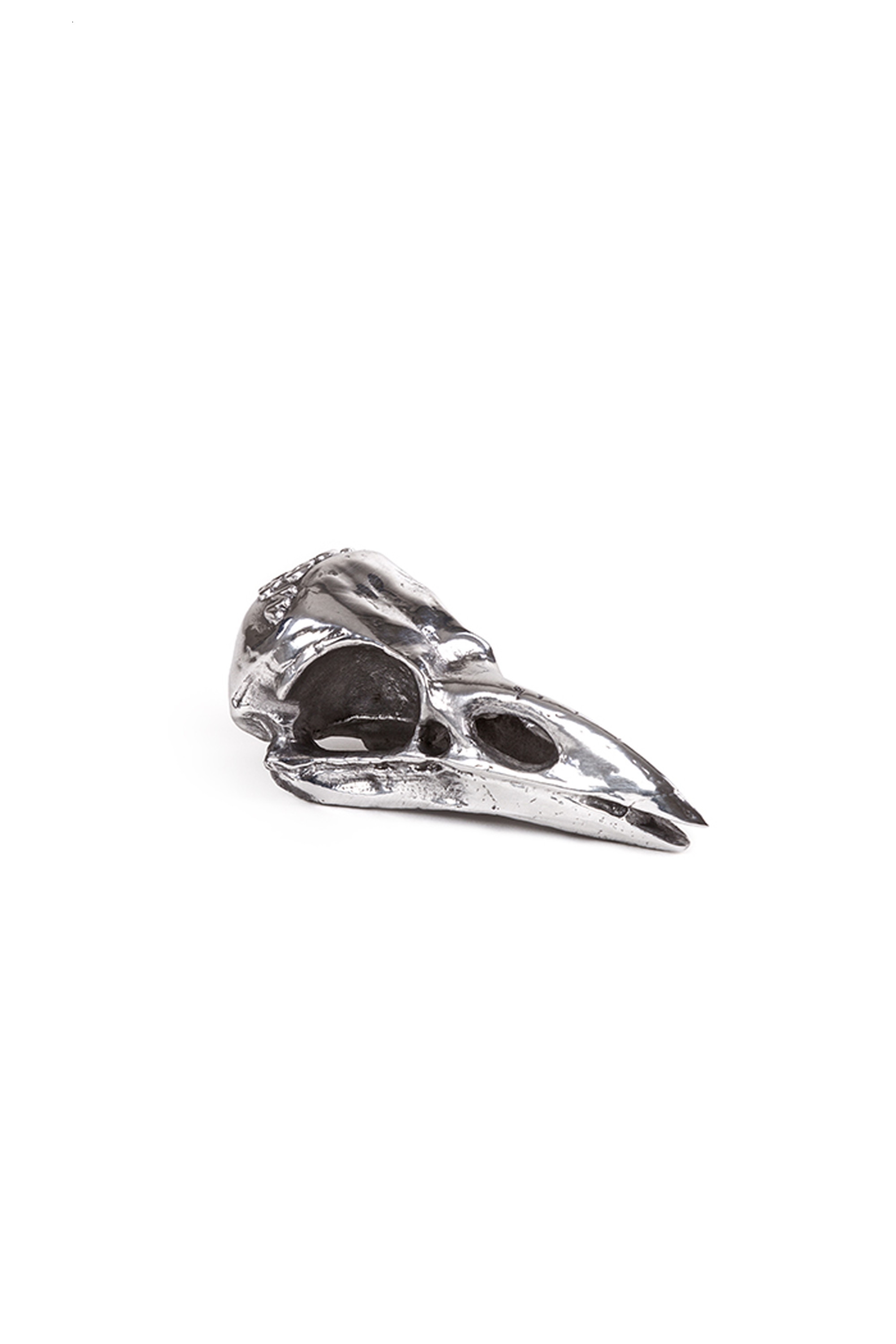 DIESEL LIVING with SELETTI  ”WUNDERKAMMER” Bird Skull, シルバー