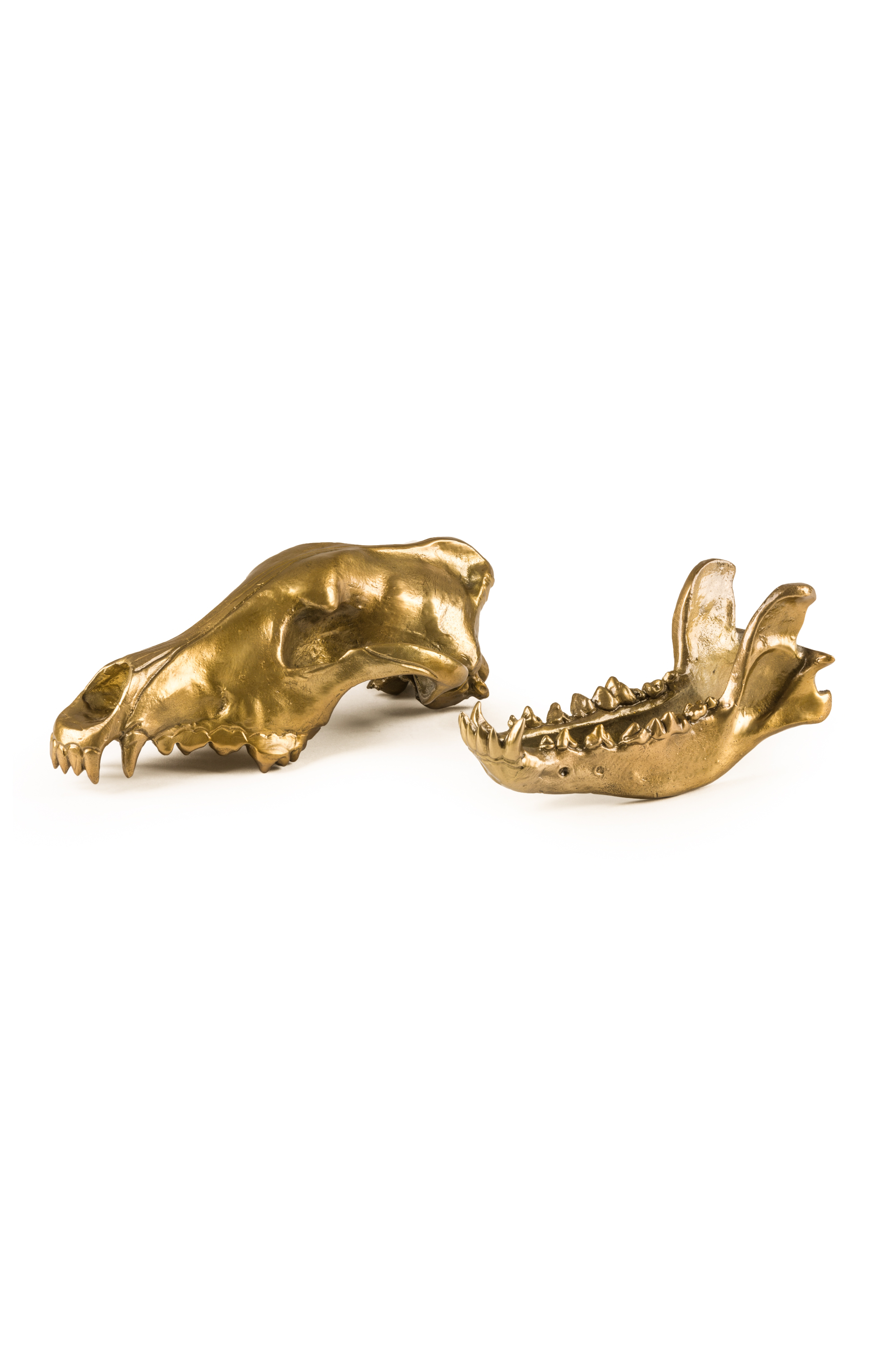 Diesel - DIESEL LIVING with SELETTI「WOLF SKULL」, ゴールド - Image 2