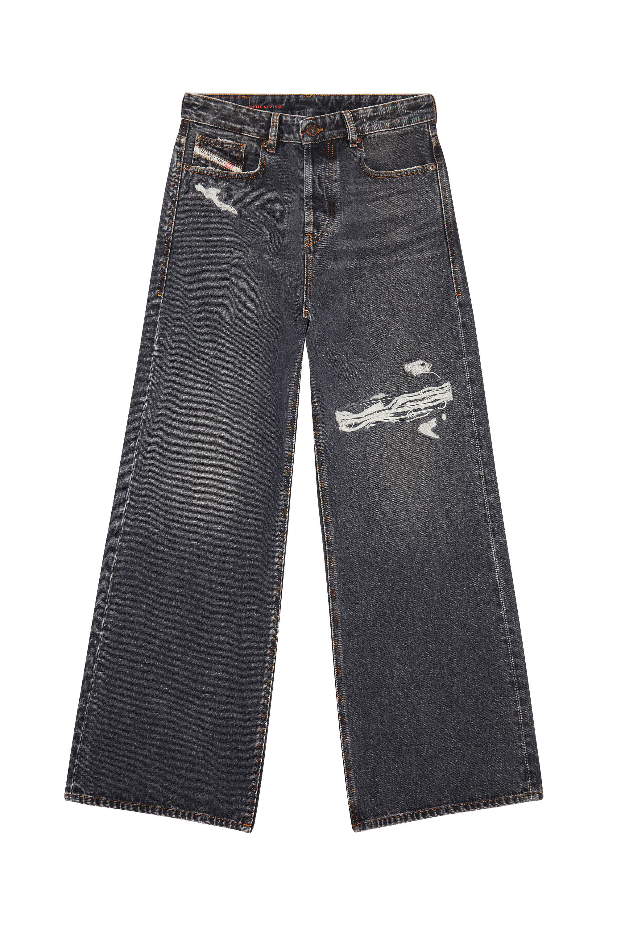 Diesel - Straight Jeans 1996 D-Sire 007F6, ブラック/ダークグレー - Image 5