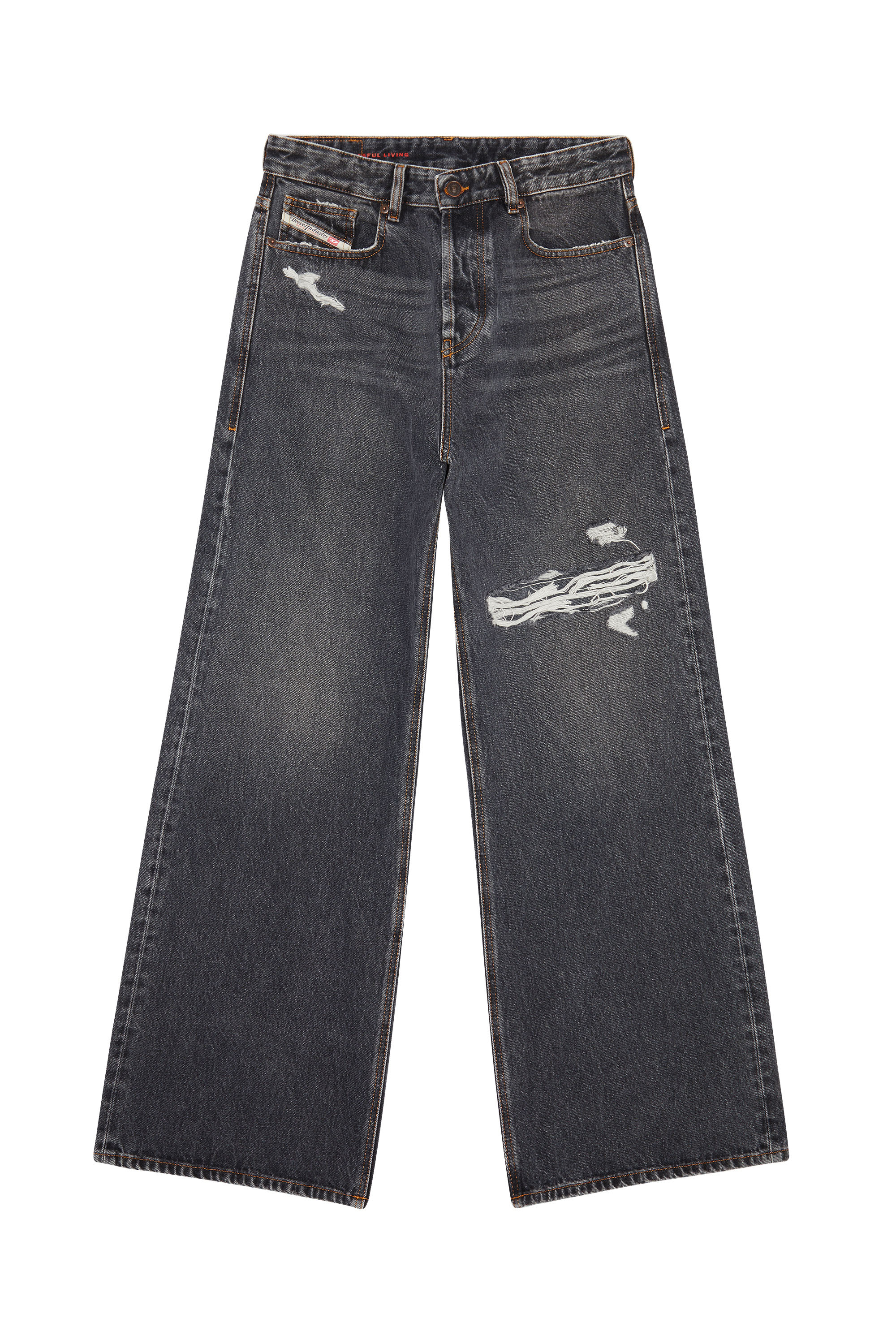 Diesel - Female's Relaxed Jeans 1996 D-Sire 007F6, ブラック/ダークグレー - 3