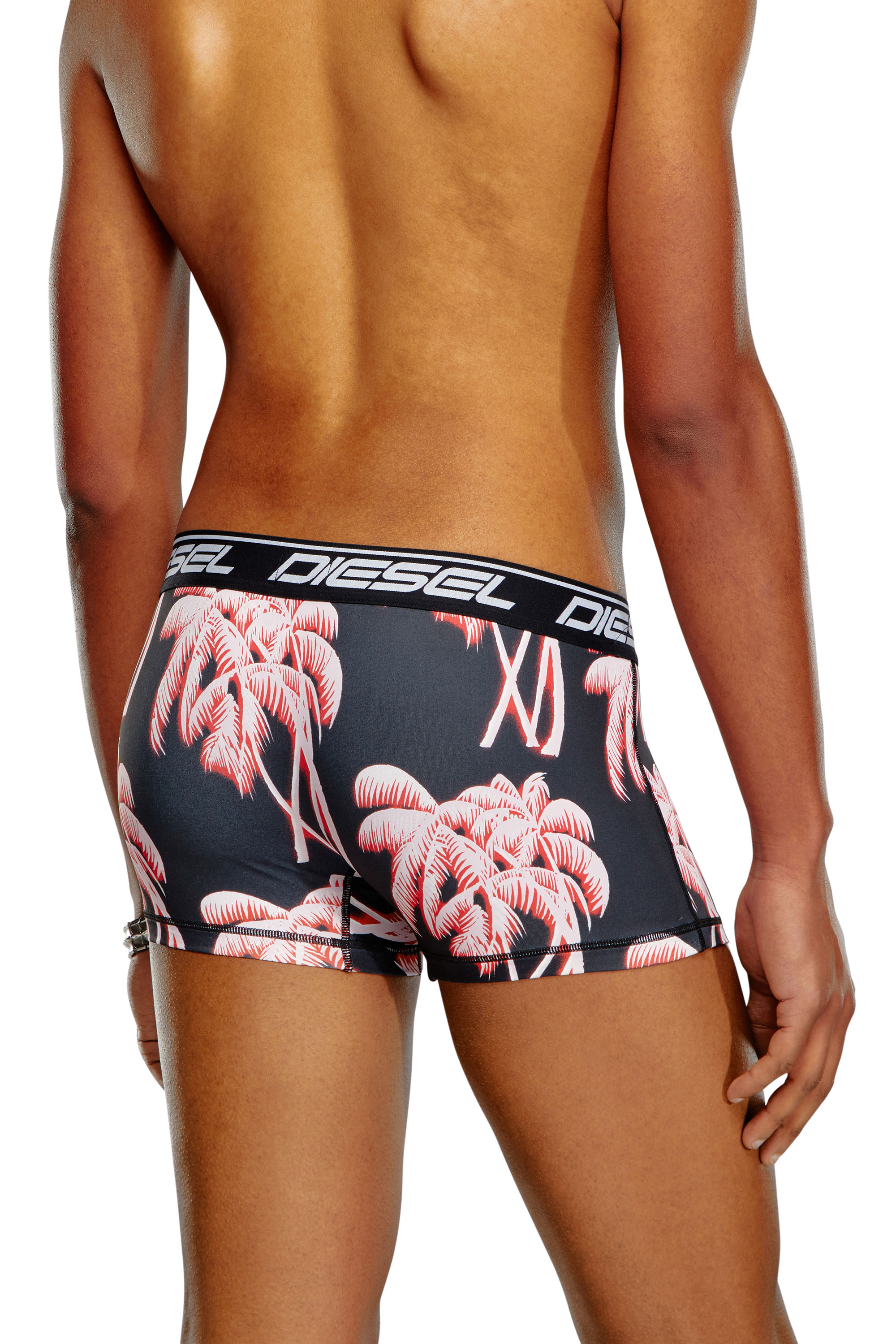 Diesel - UMBX-DAMIEN, Male's Printed microfibre boxer briefs in ブラック - 3
