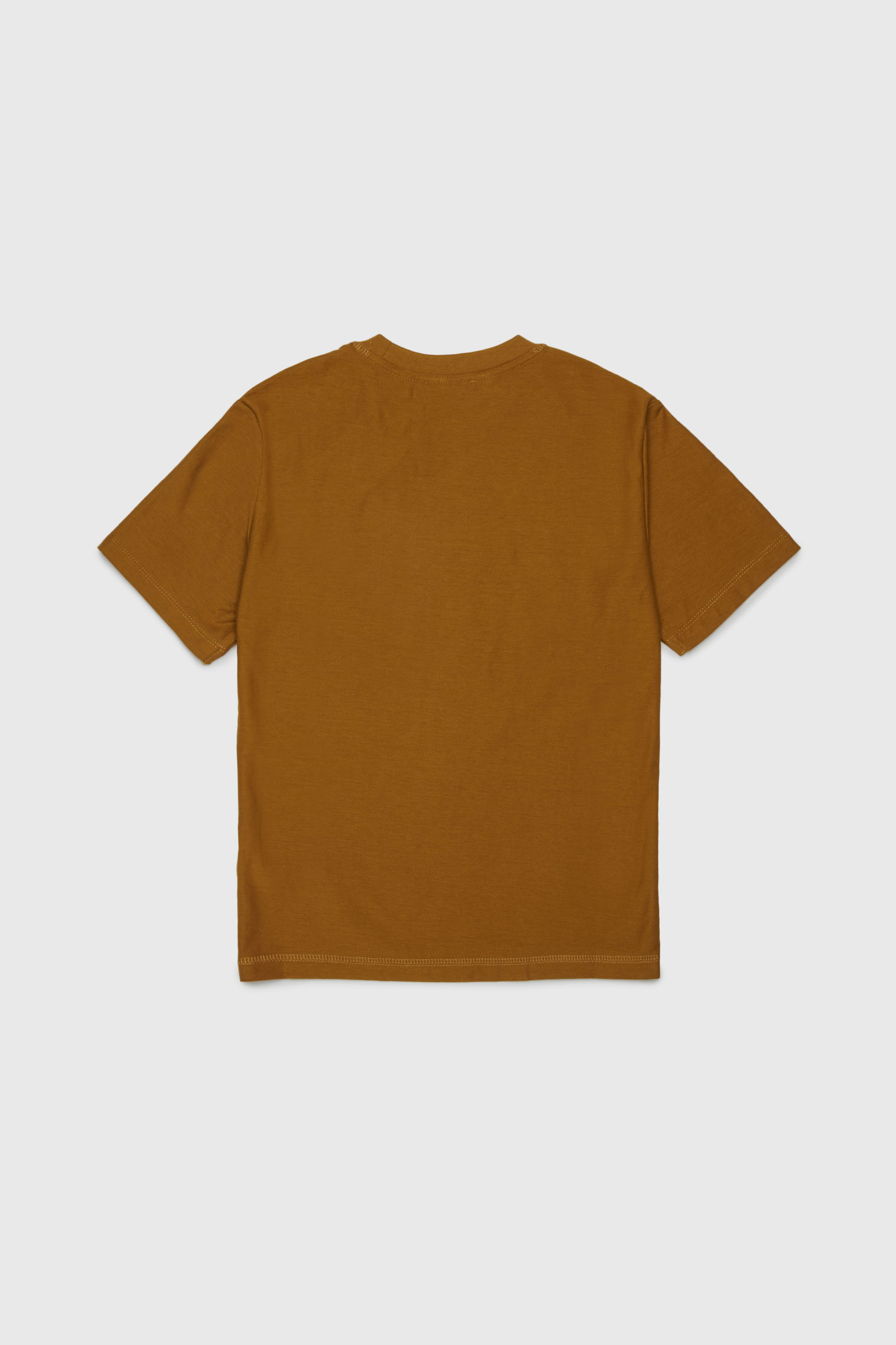 Diesel - TFRIT OVER, Male's Tシャツ in ブラウン - 2
