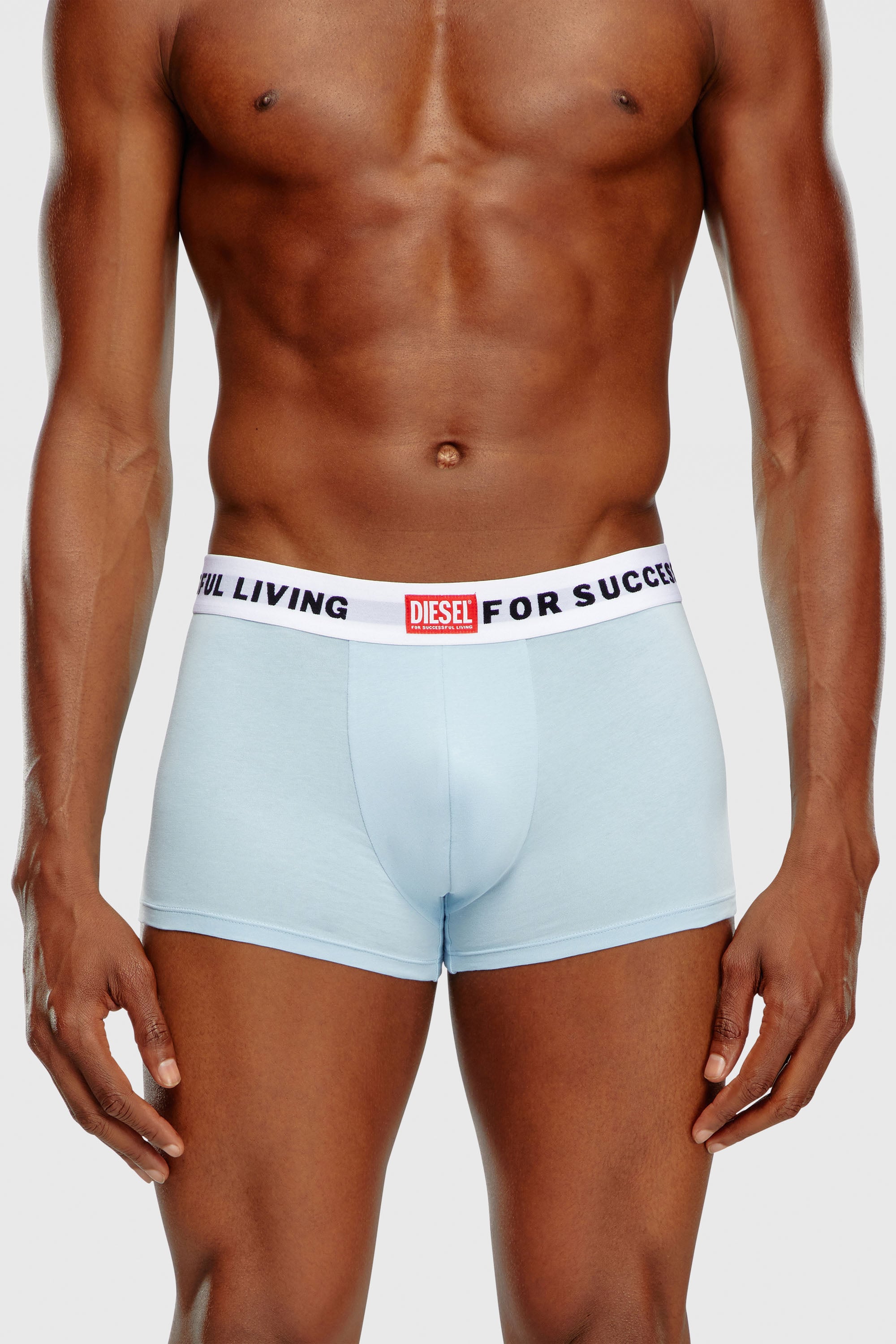 Diesel - 3PACK BOXERS, Male's 3PACK BOXERS in グレー/ブルー - 2