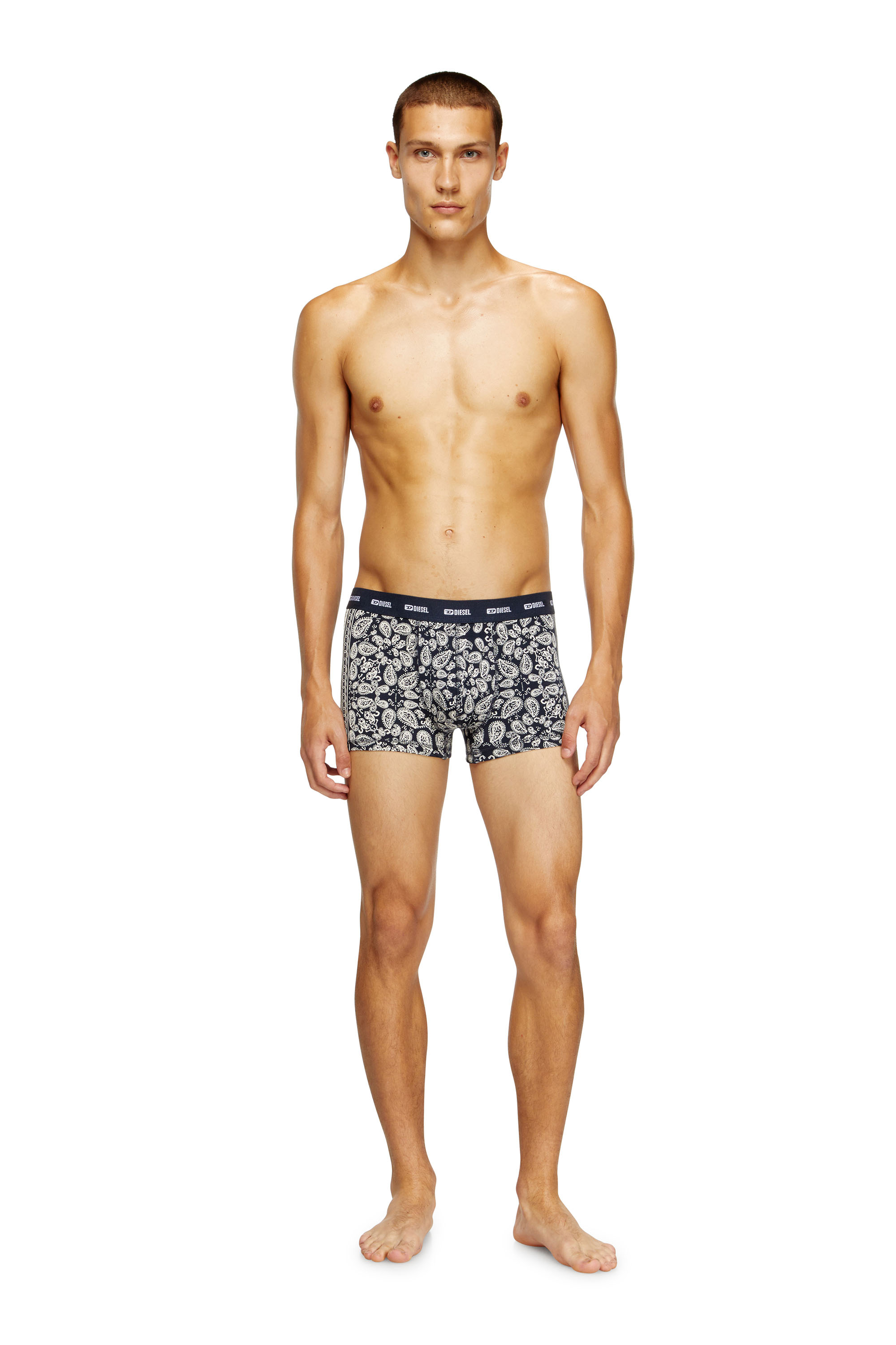 Diesel - DAMIEN-UTLT, Male's Boxer briefs with Bandana print in ブルー - 1