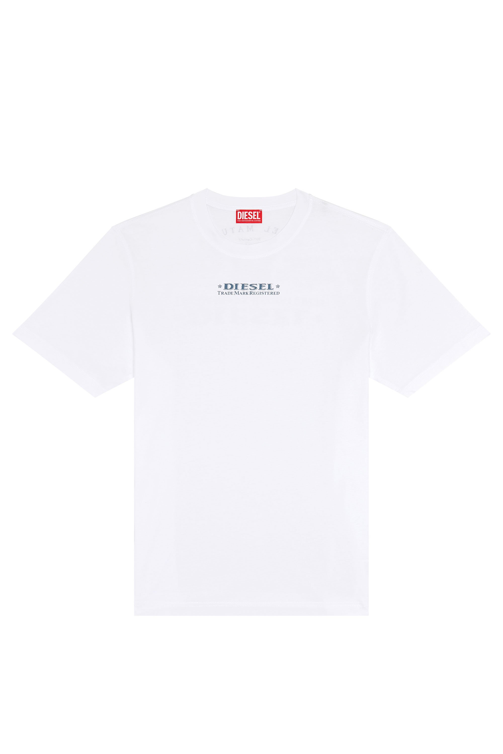 洗練されたデザイン DIESEL T-REG DIV Tシャツ グレー L
