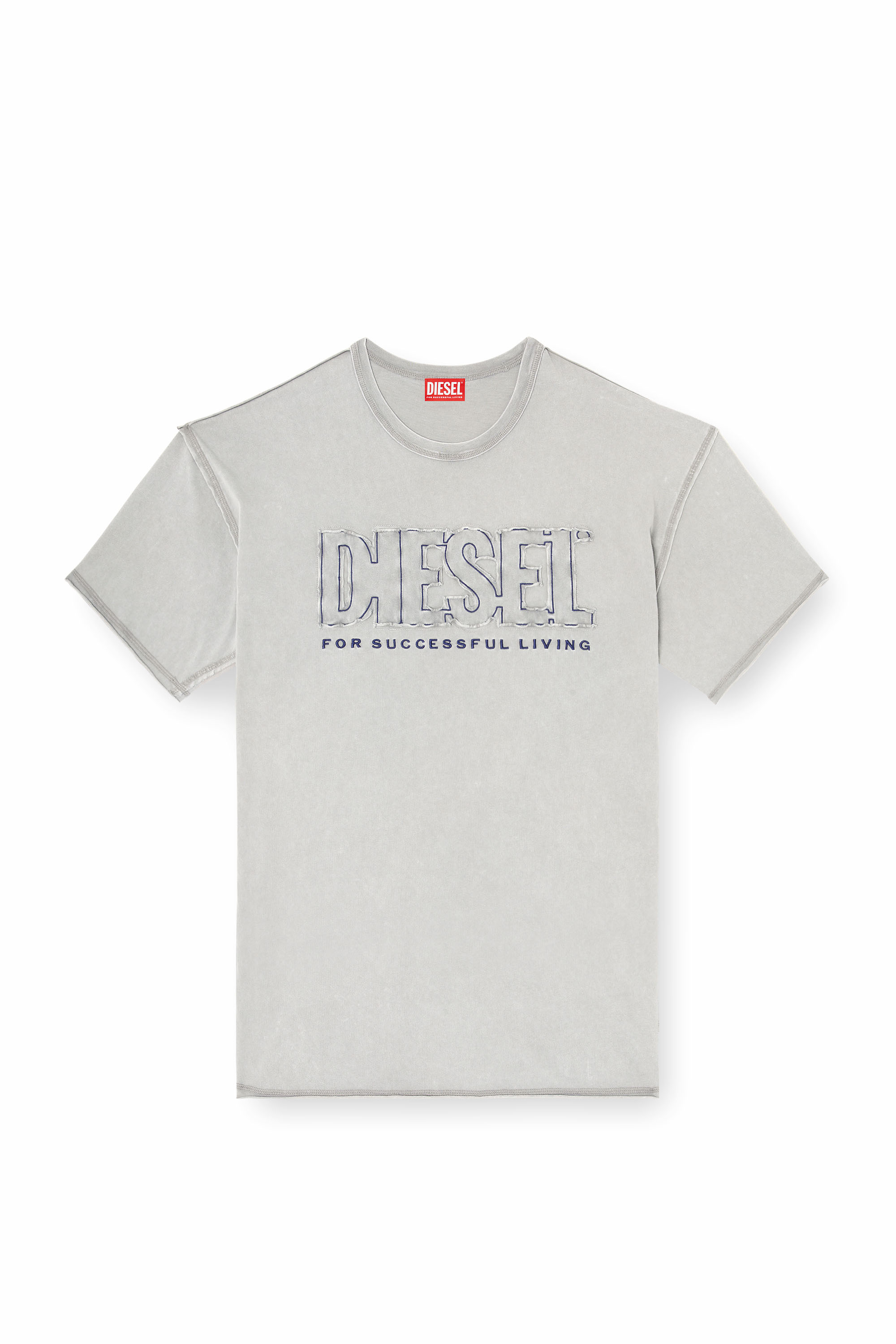 Diesel - T-RAWBOXT, Male's Tシャツ in グレー - 2