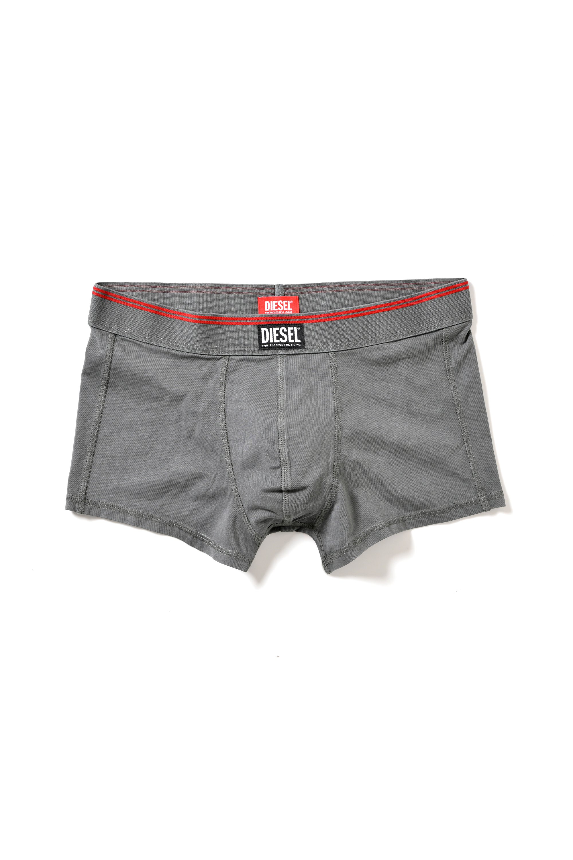 Diesel - BOXER UNDERWEAR, Male's BOXER UNDERWEAR in グレー - 1