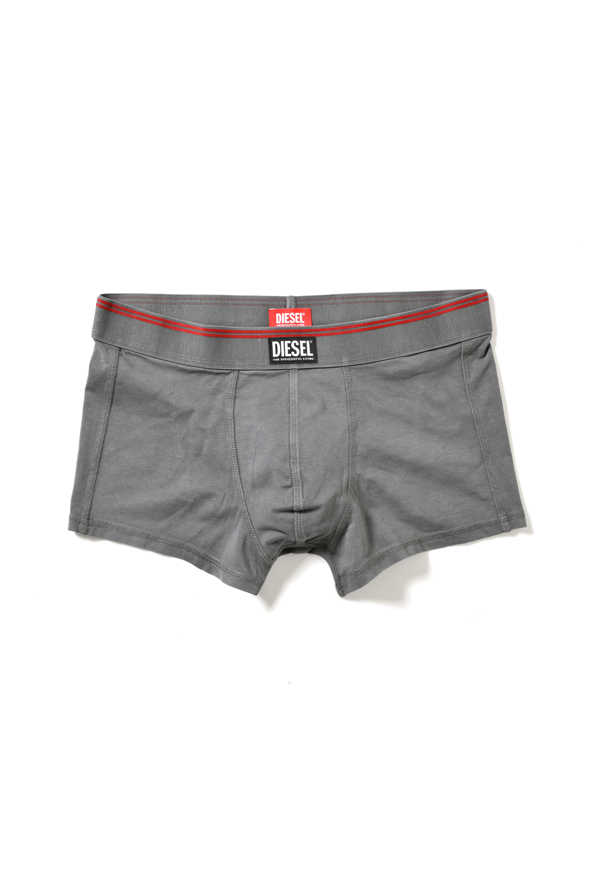 Diesel - BOXER UNDERWEAR, Male's BOXER UNDERWEAR in グレー - 1