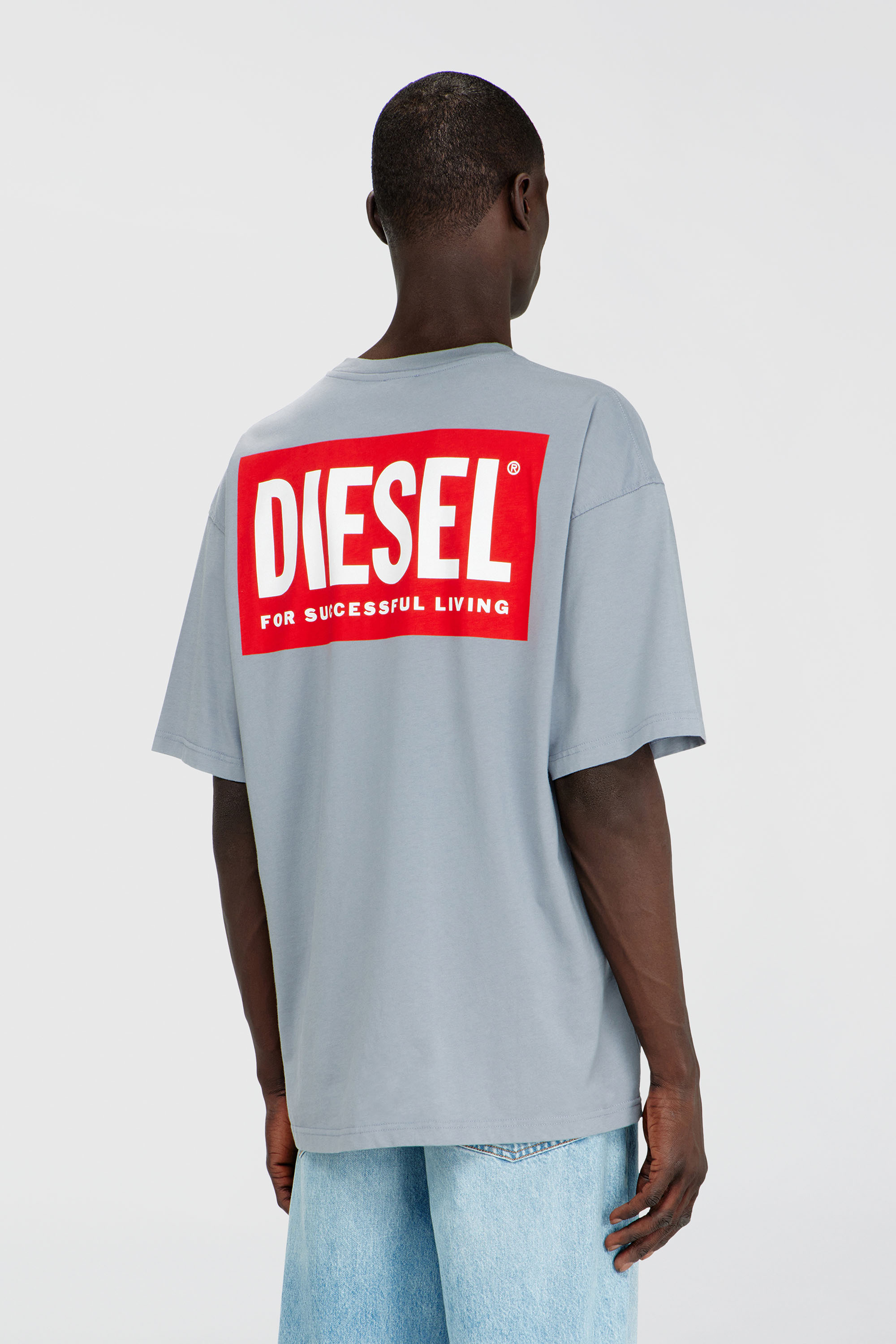 Diesel - T-BOXT-BISK, Male's Tシャツ in ライトグレー - 4