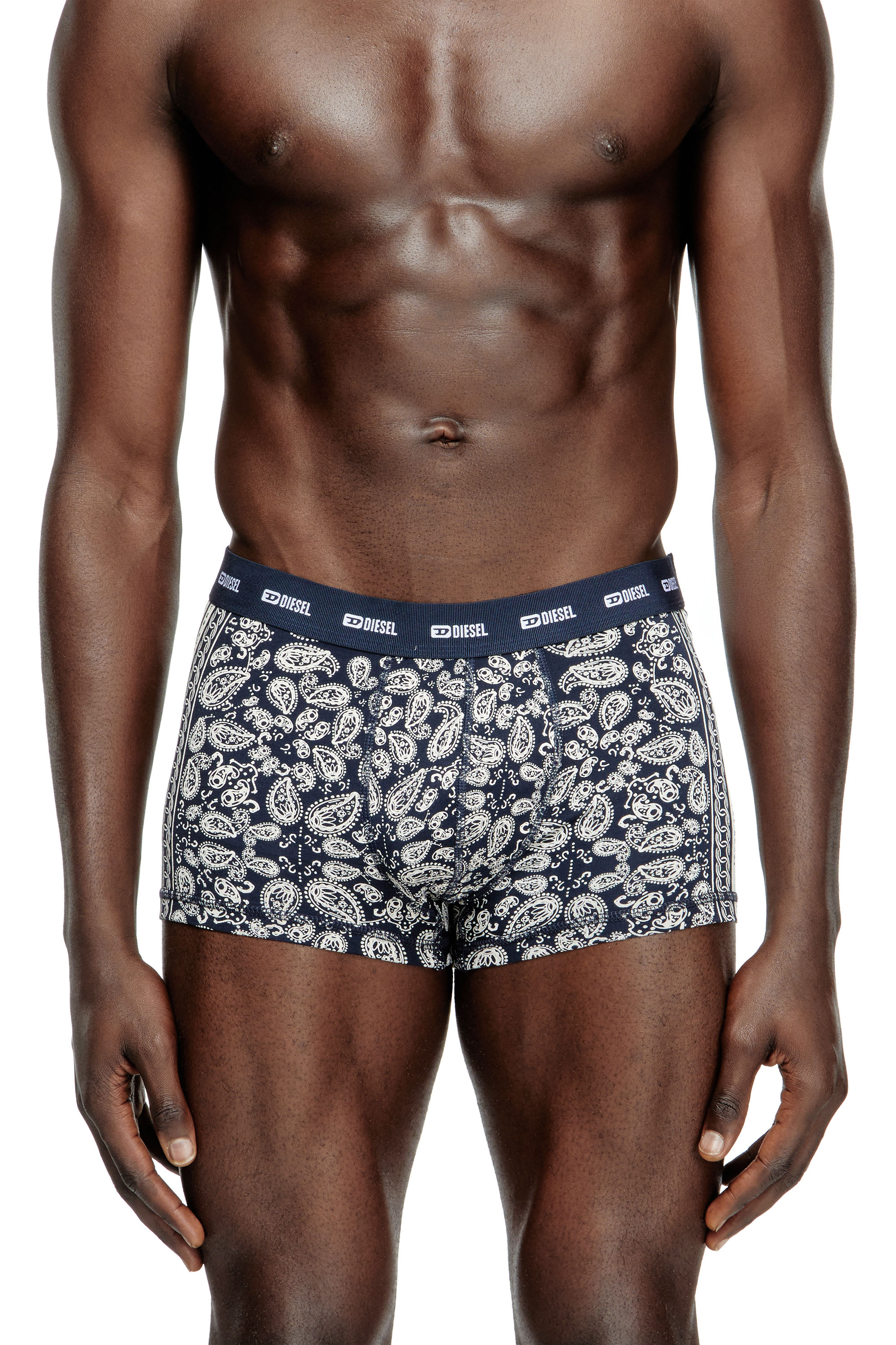 Diesel - DAMIEN-UTLT, Male's Boxer briefs with Bandana print in ブルー - 2