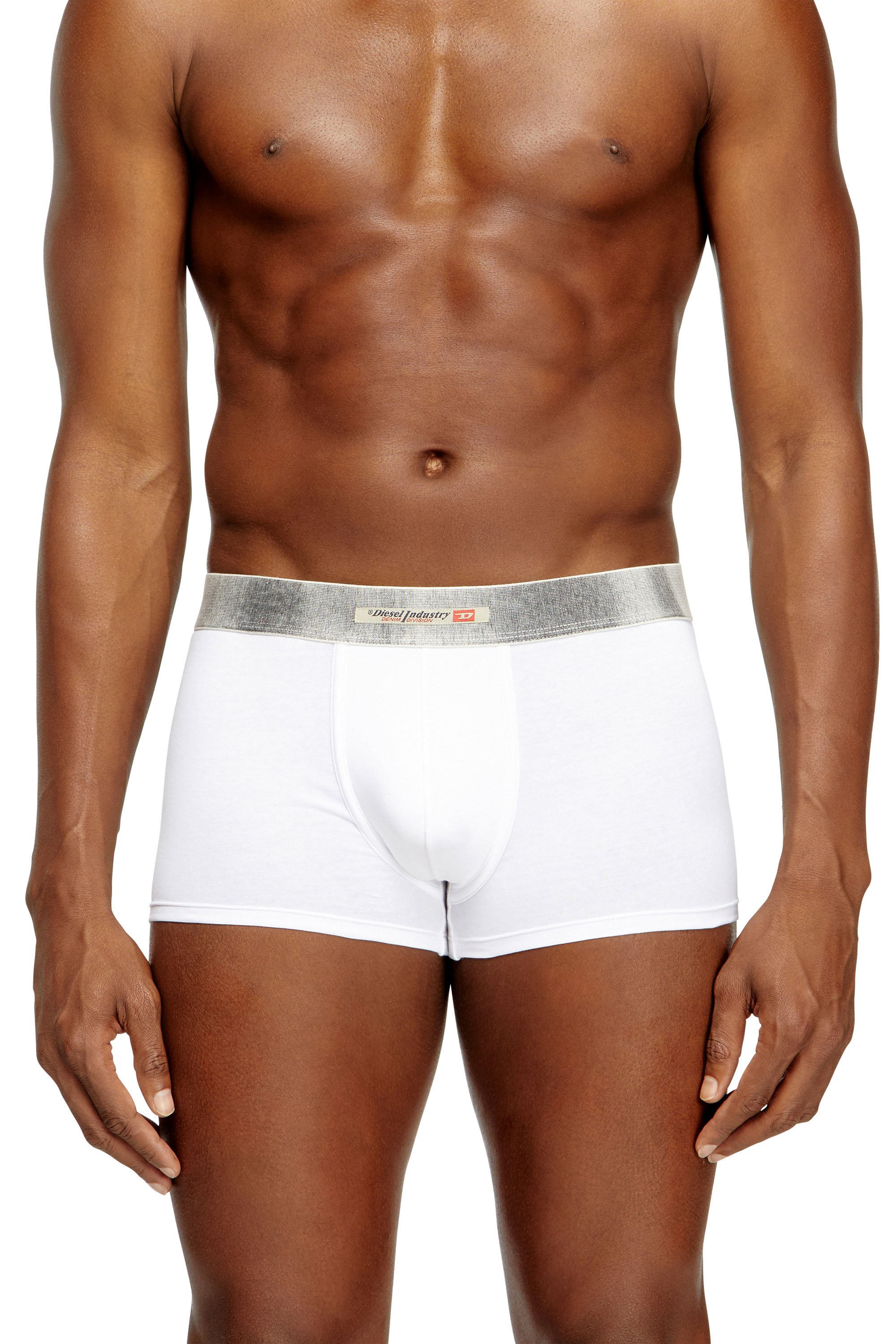 Diesel - DAMIEN-DNM-3PACK, Male's ボクサーパンツ 3枚パック in ホワイト - 2