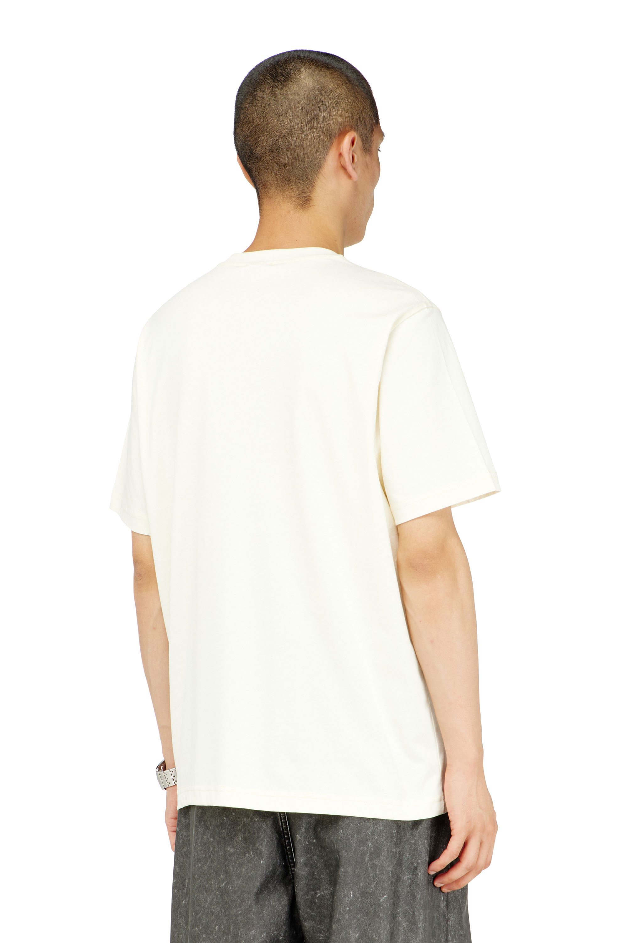 Diesel - T-ADJUST-AA4, Male's Tシャツ in null - 4