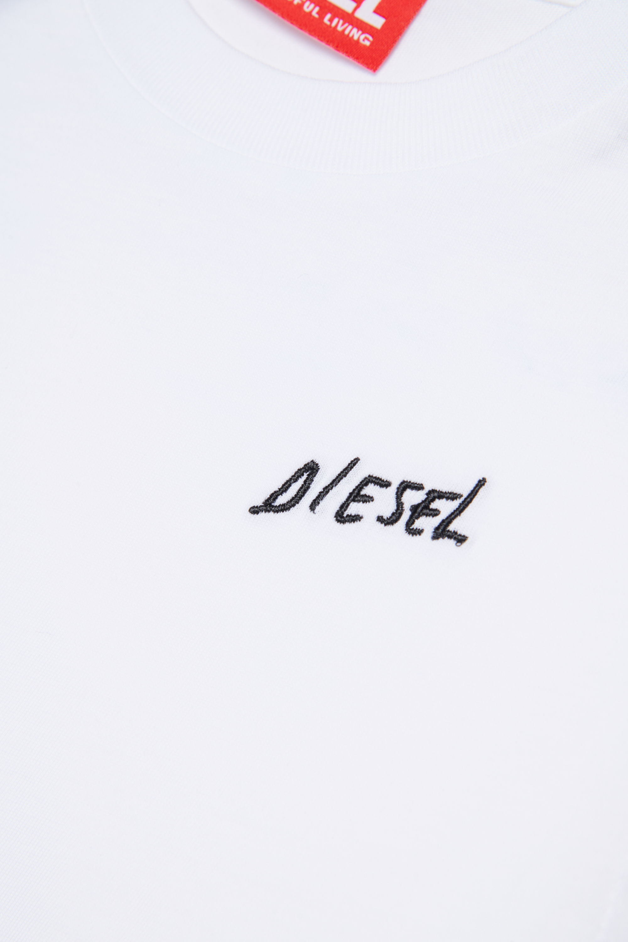 Diesel - TDIEGOSB22LS, Male's 長袖Tシャツ in ホワイト - 4