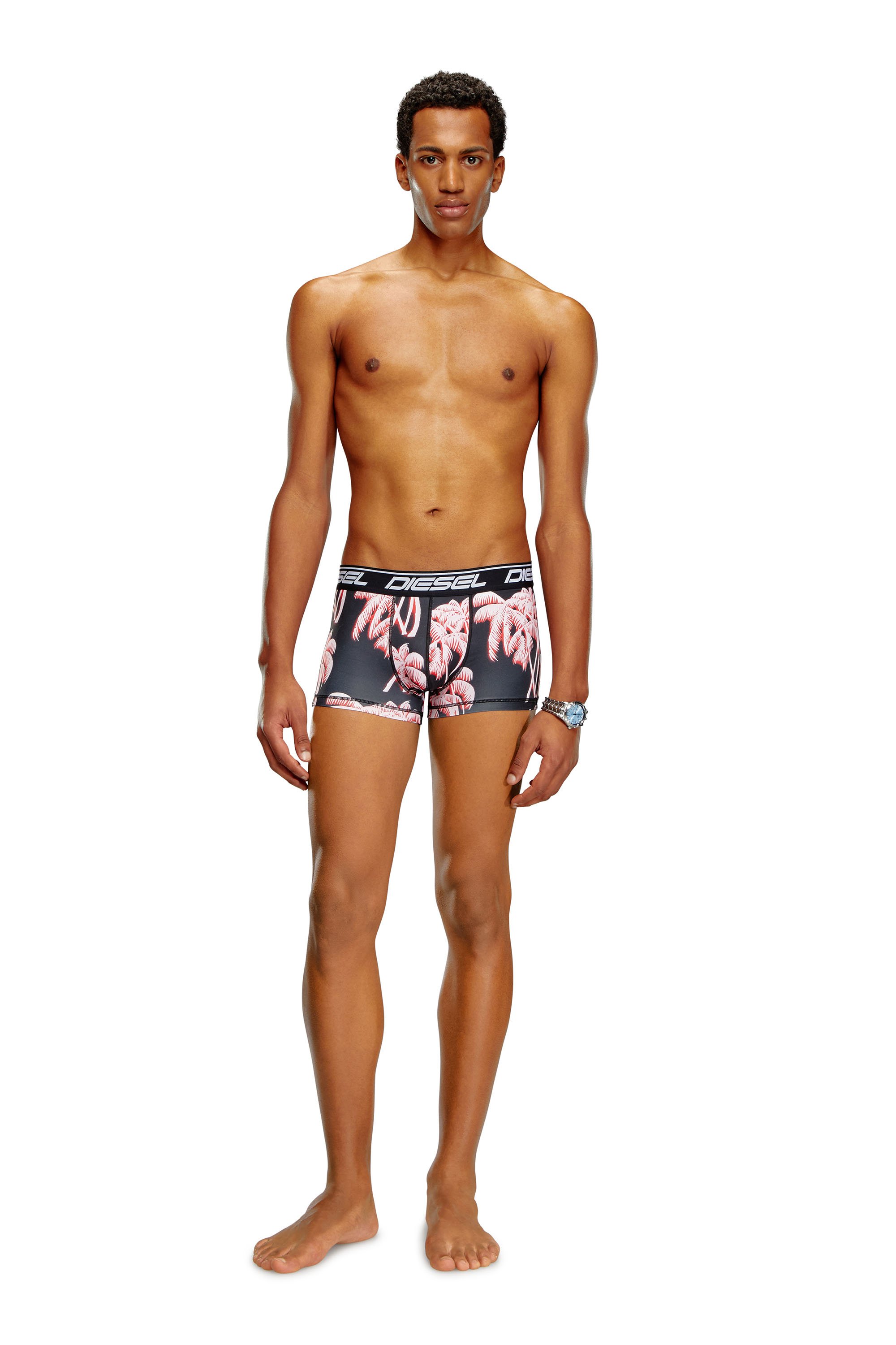 Diesel - UMBX-DAMIEN, Male's Printed microfibre boxer briefs in ブラック - 1