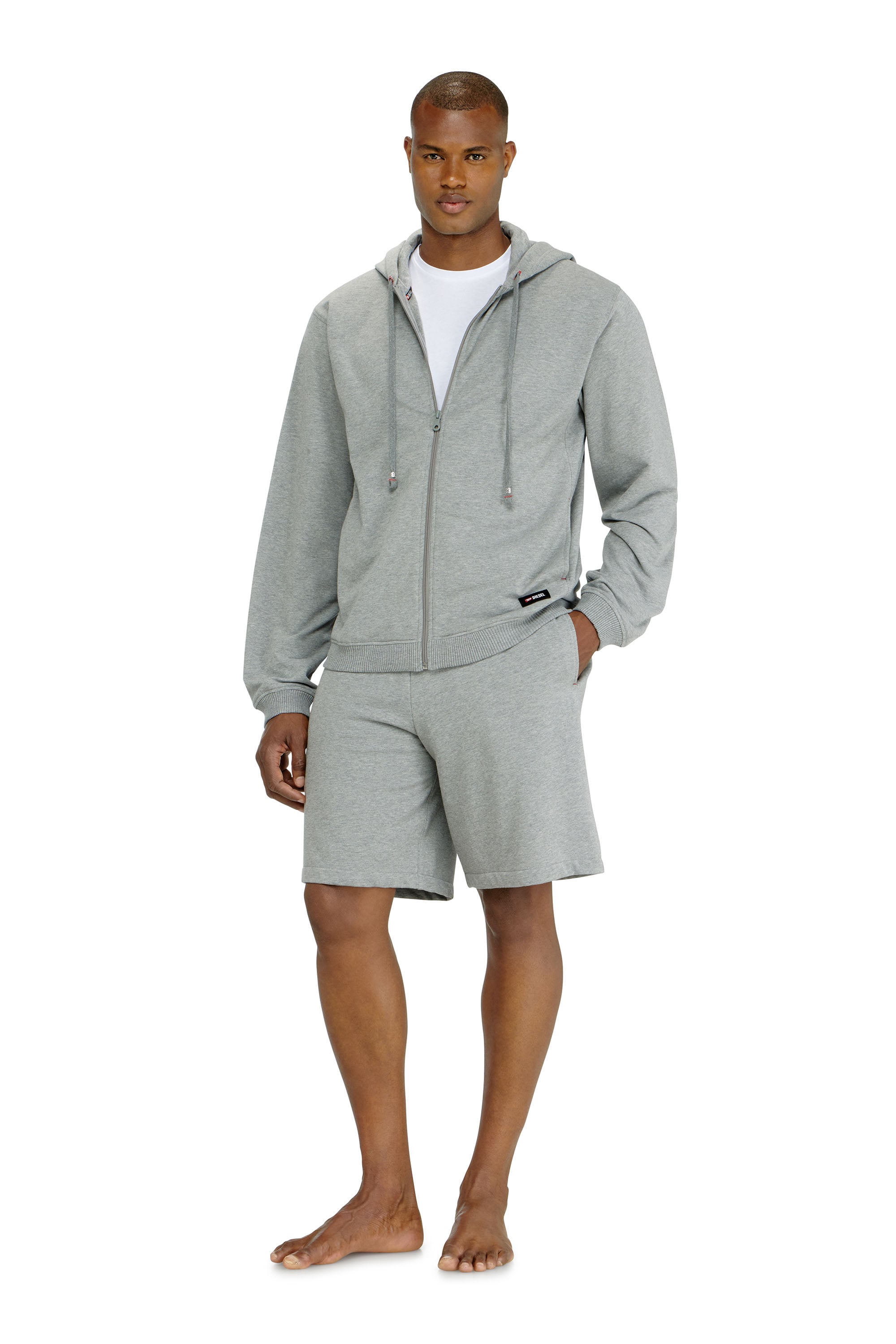Diesel - JOY-D-CORE, Male's ジップアップパーカー in グレー - 2